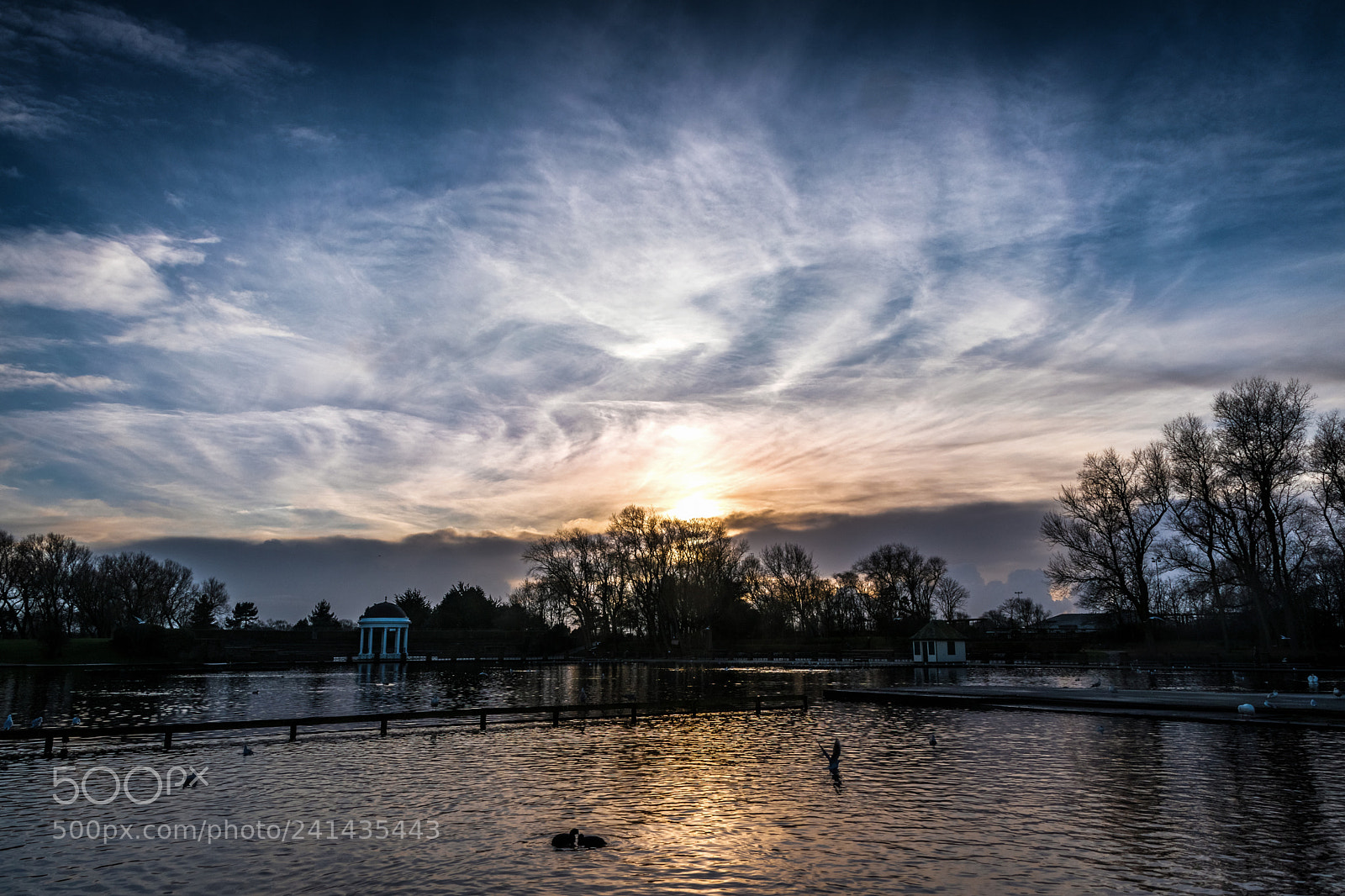 Nikon D5600 sample photo. January fading sun photography