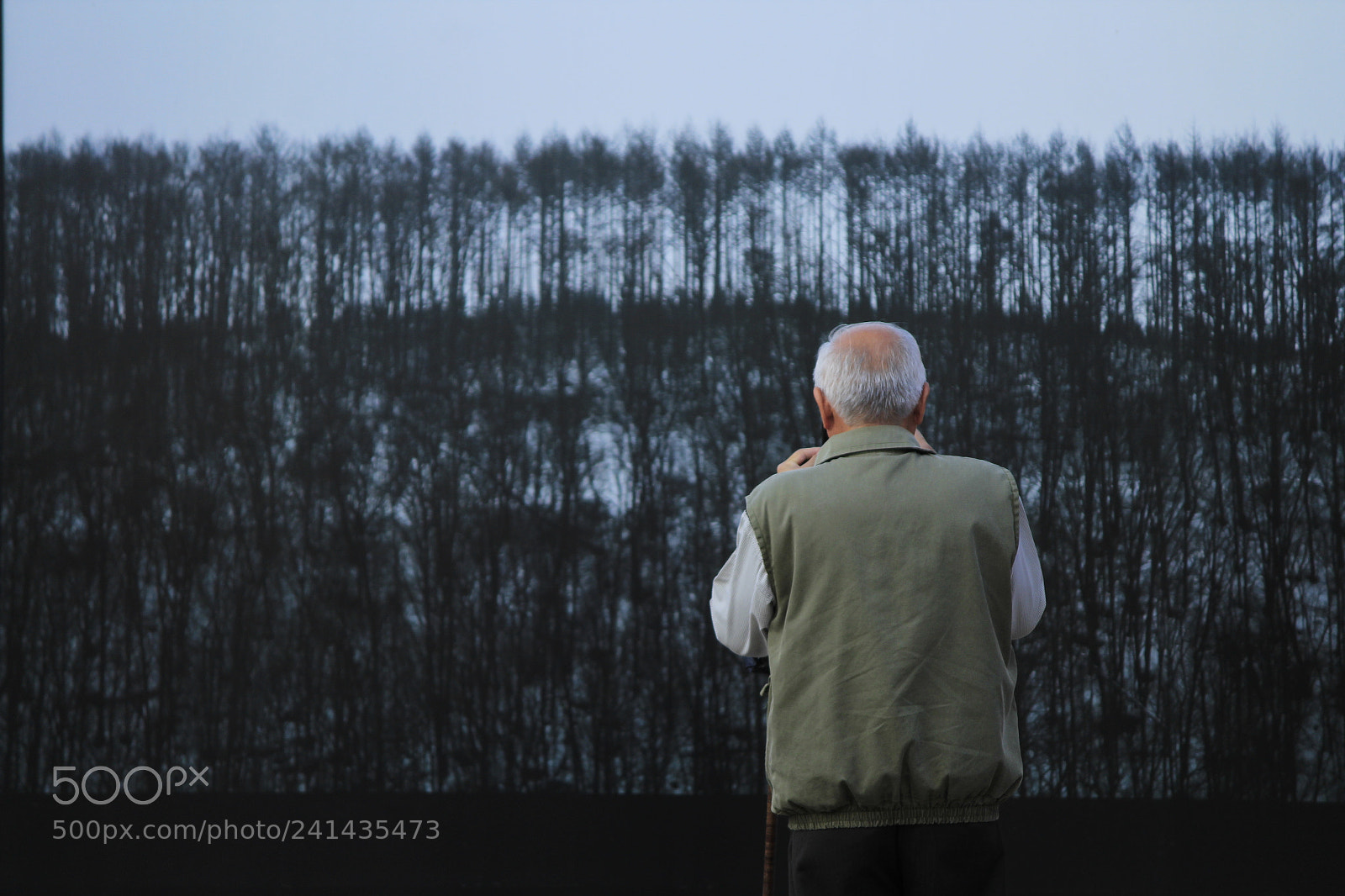 Canon EF-S 55-250mm F4-5.6 IS II sample photo. Ver y capturar photography