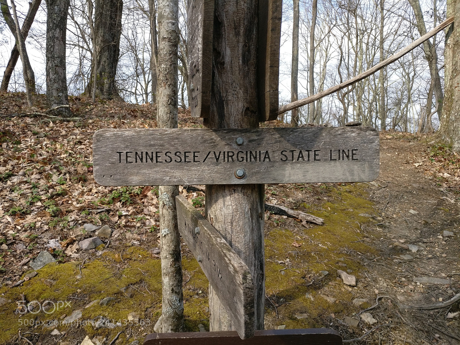 OnePlus A3000 sample photo. Appalachian trail, virginia tennessee photography