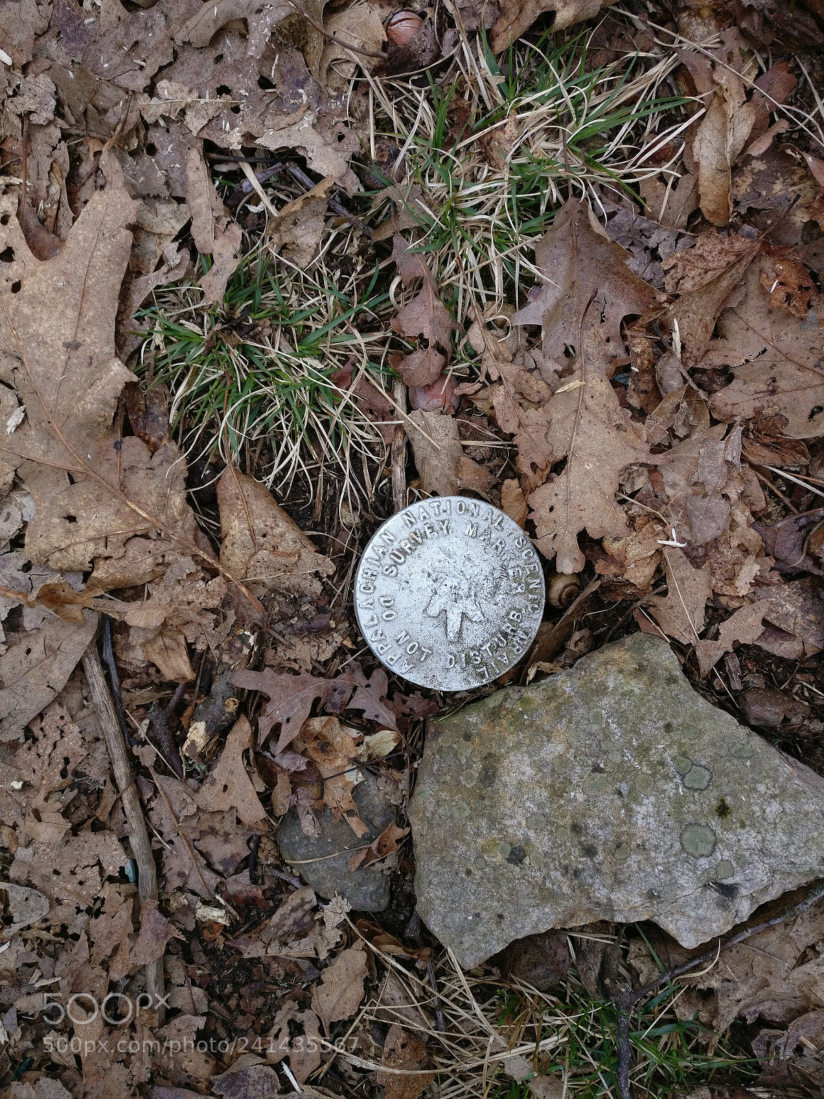 OnePlus A3000 sample photo. Appalachian trail seal photography