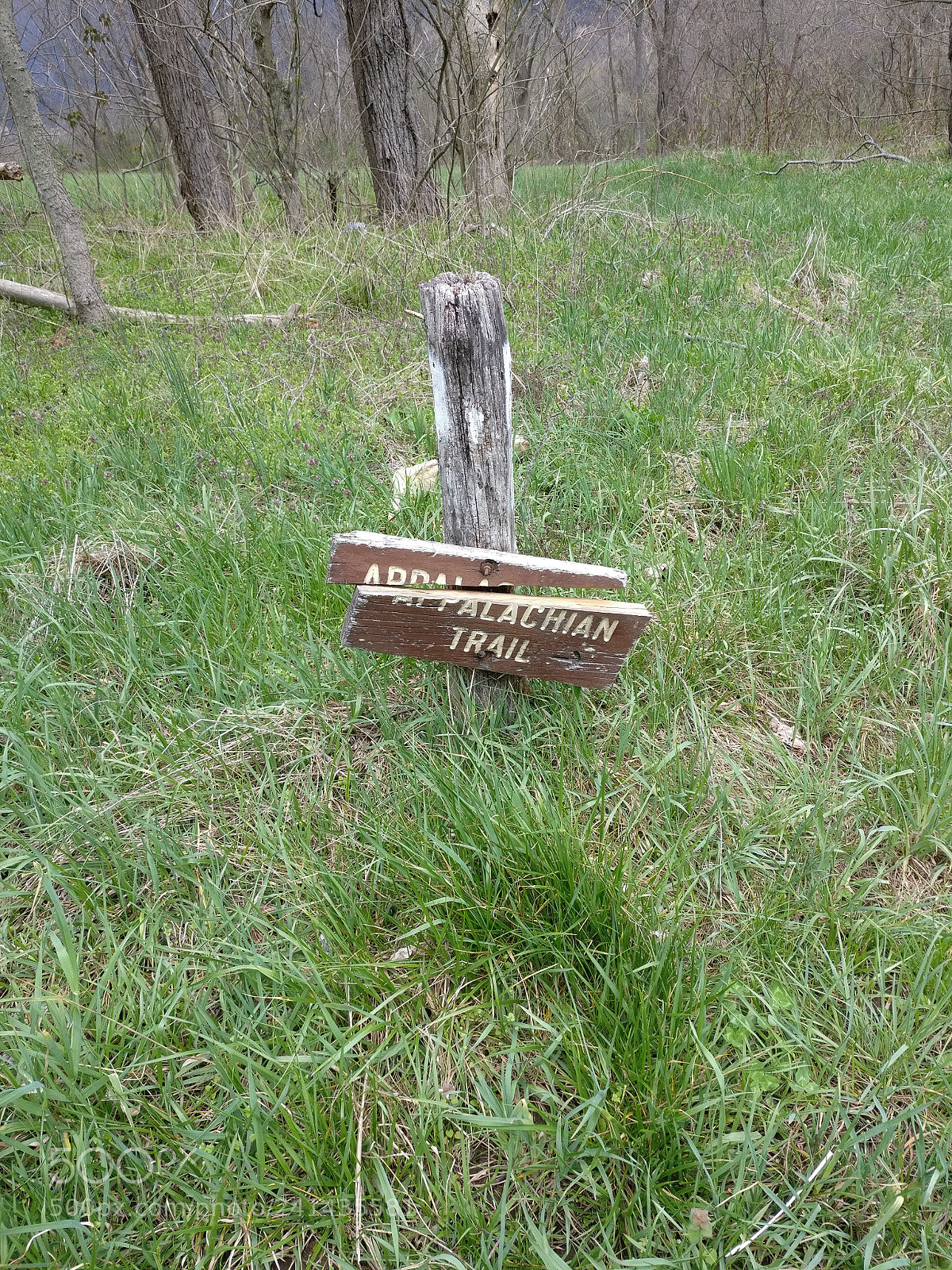OnePlus A3000 sample photo. Appalachian trail broken sign photography