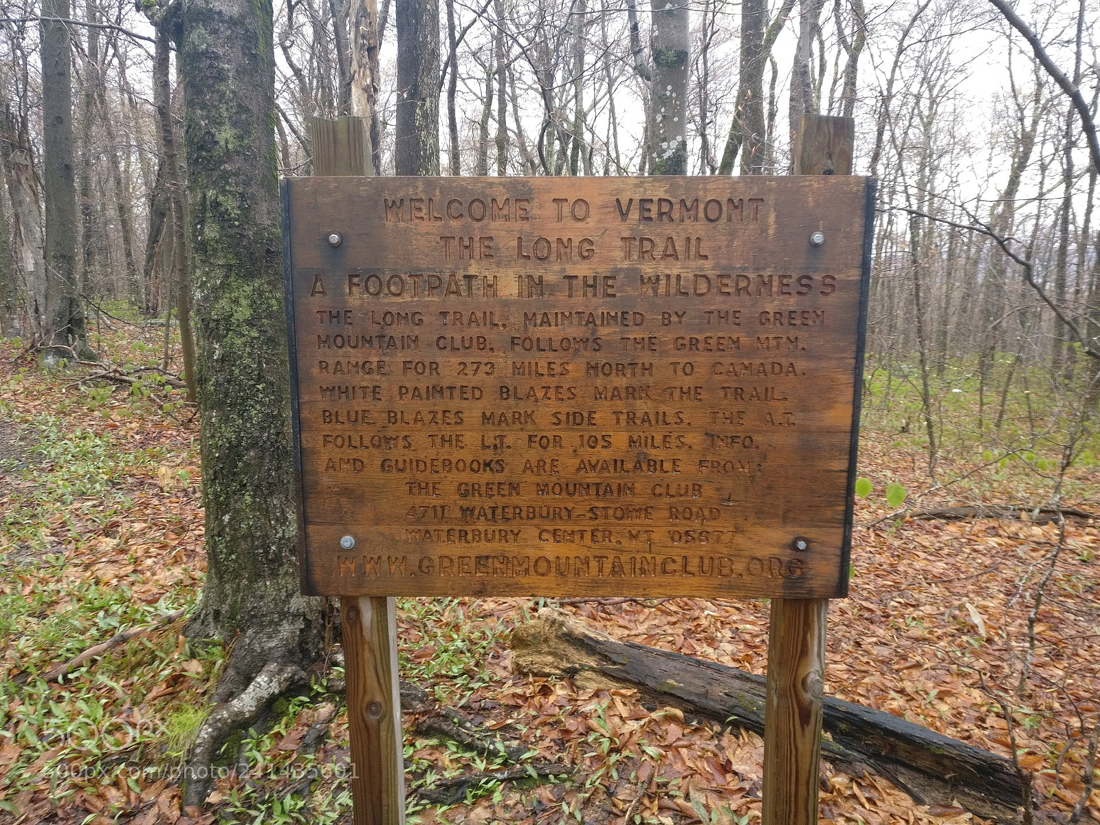 OnePlus A3000 sample photo. Appalachian trail the long photography