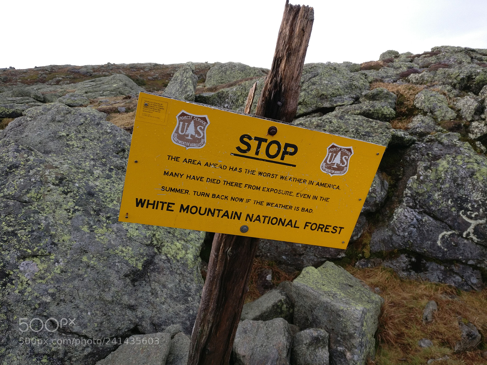 OnePlus A3000 sample photo. Appalachian trail, mount washington photography