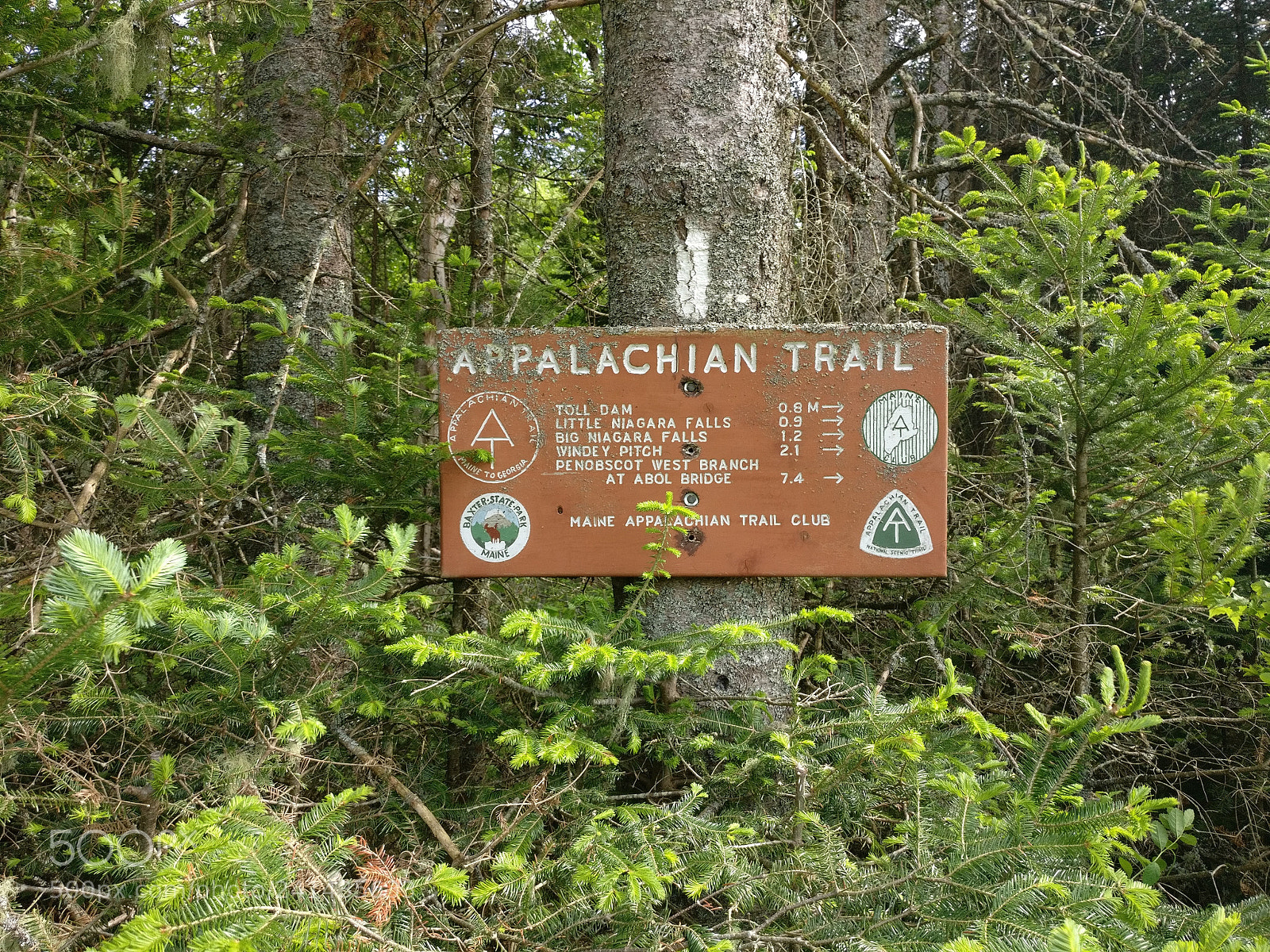 OnePlus A3000 sample photo. Appalachian trail, mount katahdin photography
