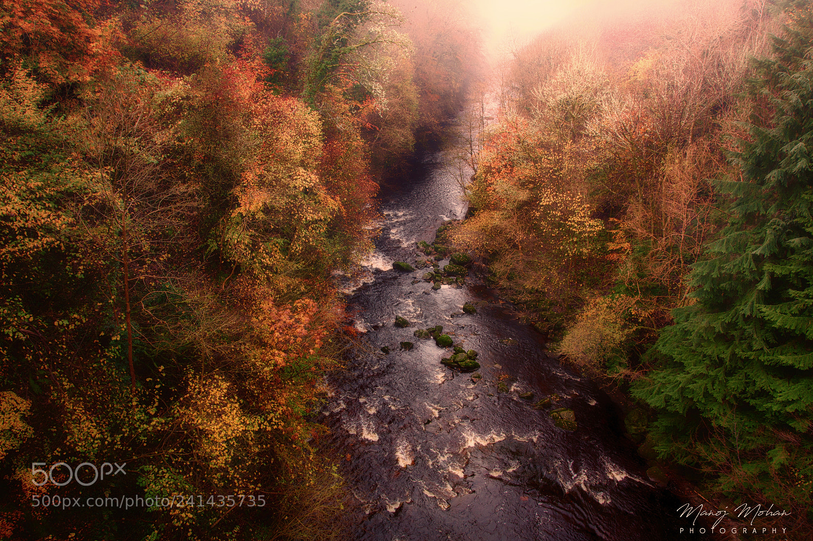 Sony Alpha DSLR-A550 sample photo. Autumn at chatelherault photography