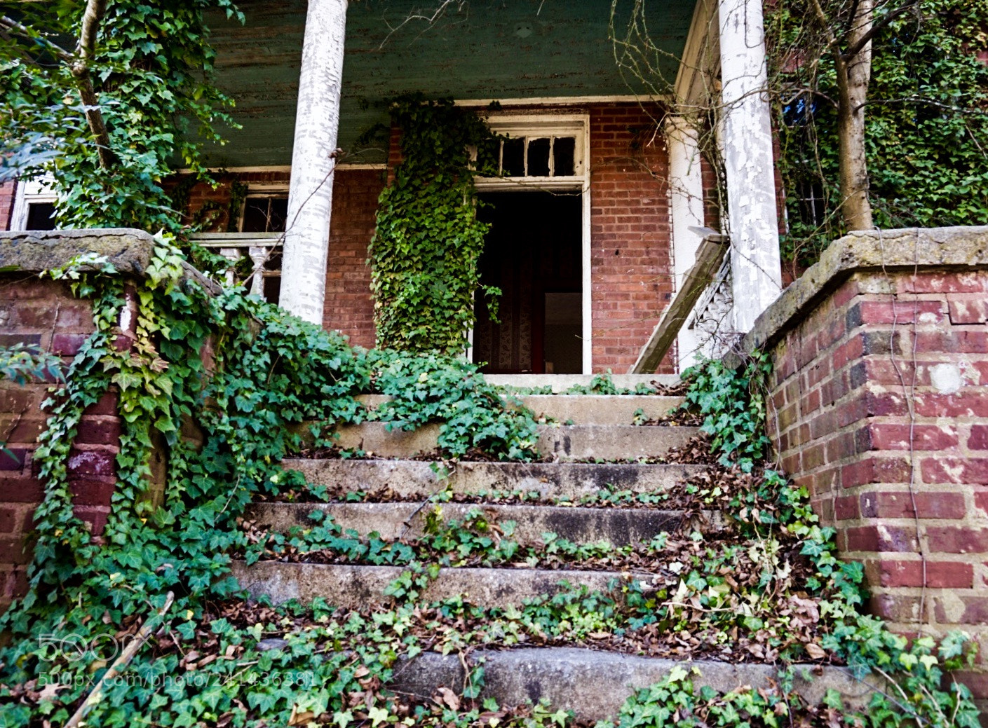 Sony Alpha a5000 (ILCE 5000) sample photo. Concord, nc photography