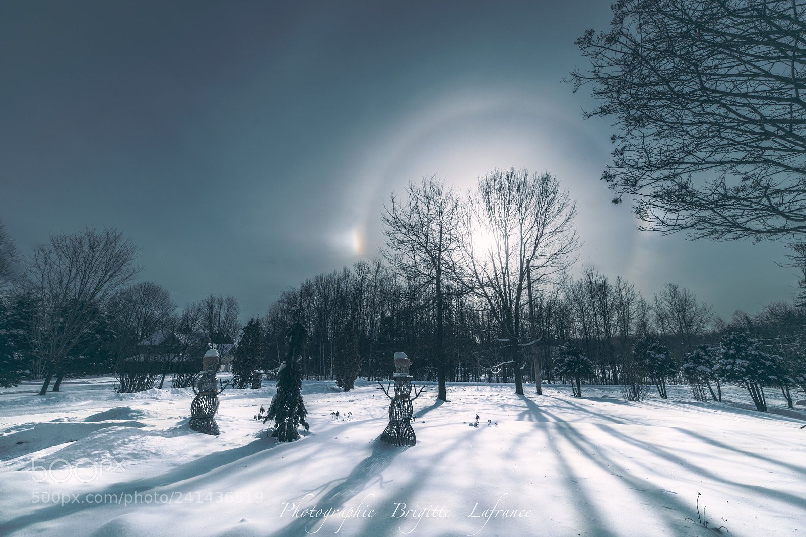 Nikon D850 sample photo. Halo around the winter photography