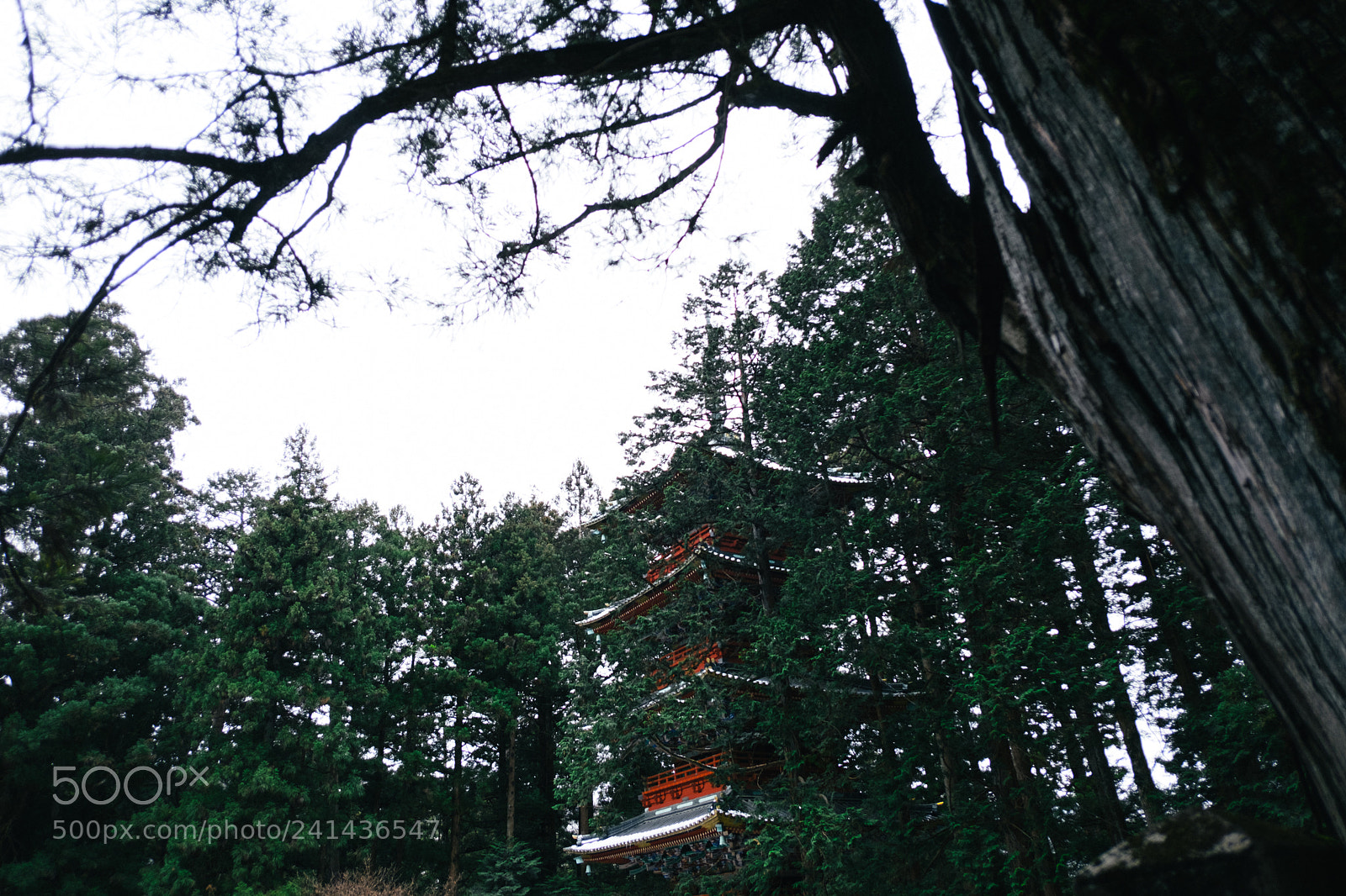 Fujifilm X-T2 sample photo. Nikko toshogu 6 photography