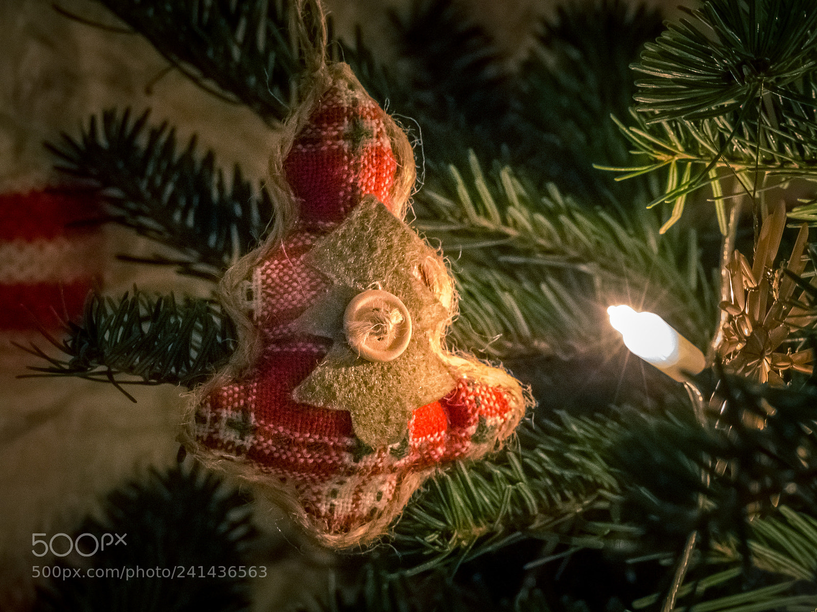 Panasonic Lumix DMC-FZ200 sample photo. Pine photography
