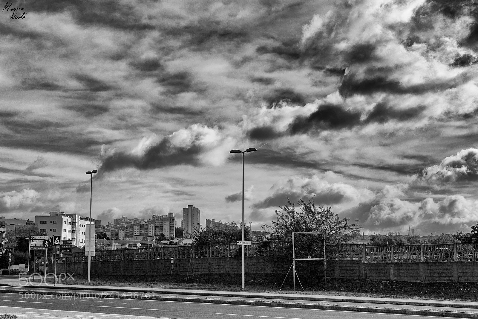 Nikon D3100 sample photo. Scatti al volo photography