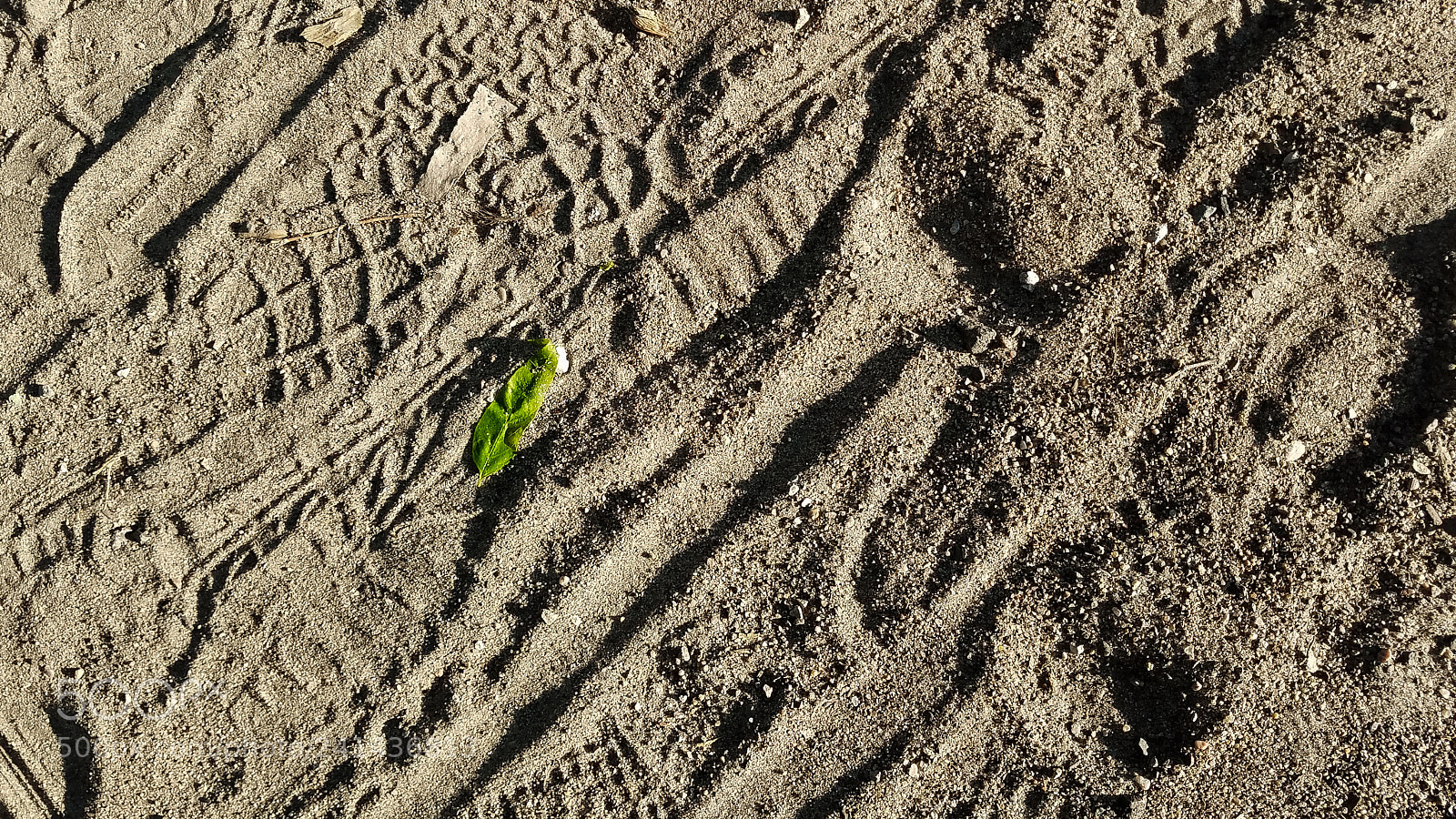 Samsung Galaxy S7 sample photo. () photography