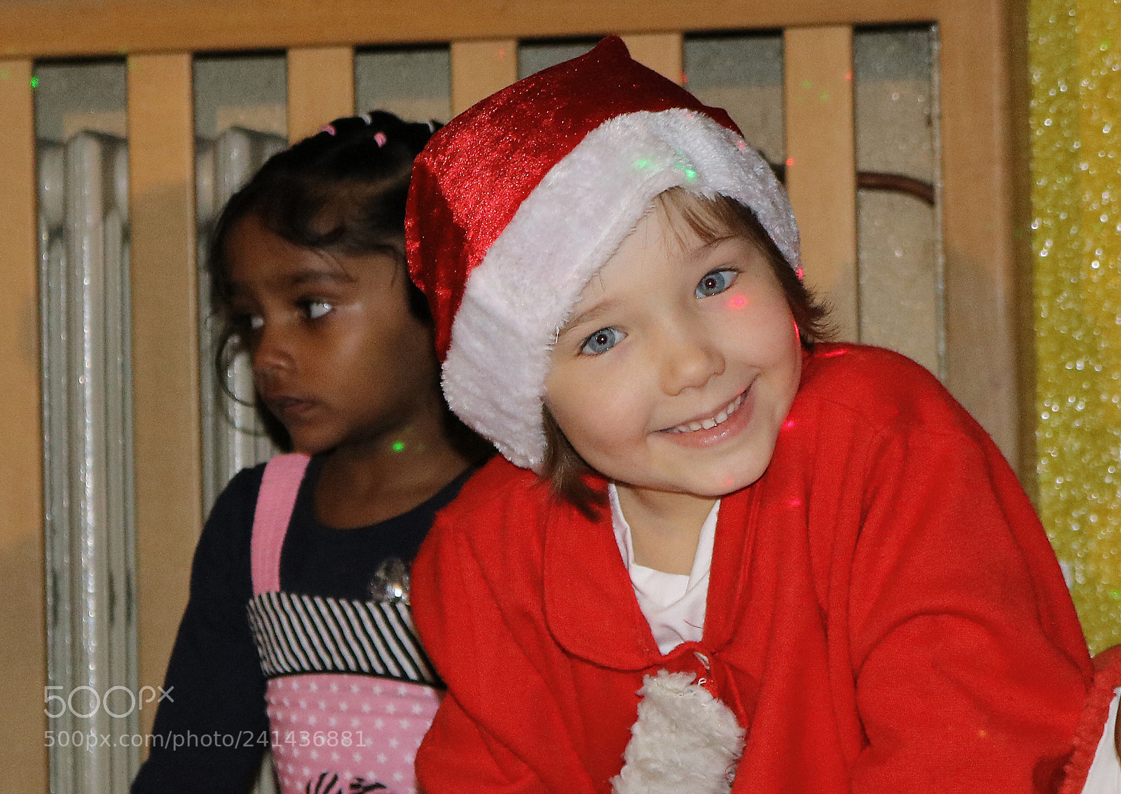 Canon EOS 750D (EOS Rebel T6i / EOS Kiss X8i) sample photo. Bibi christmas photography