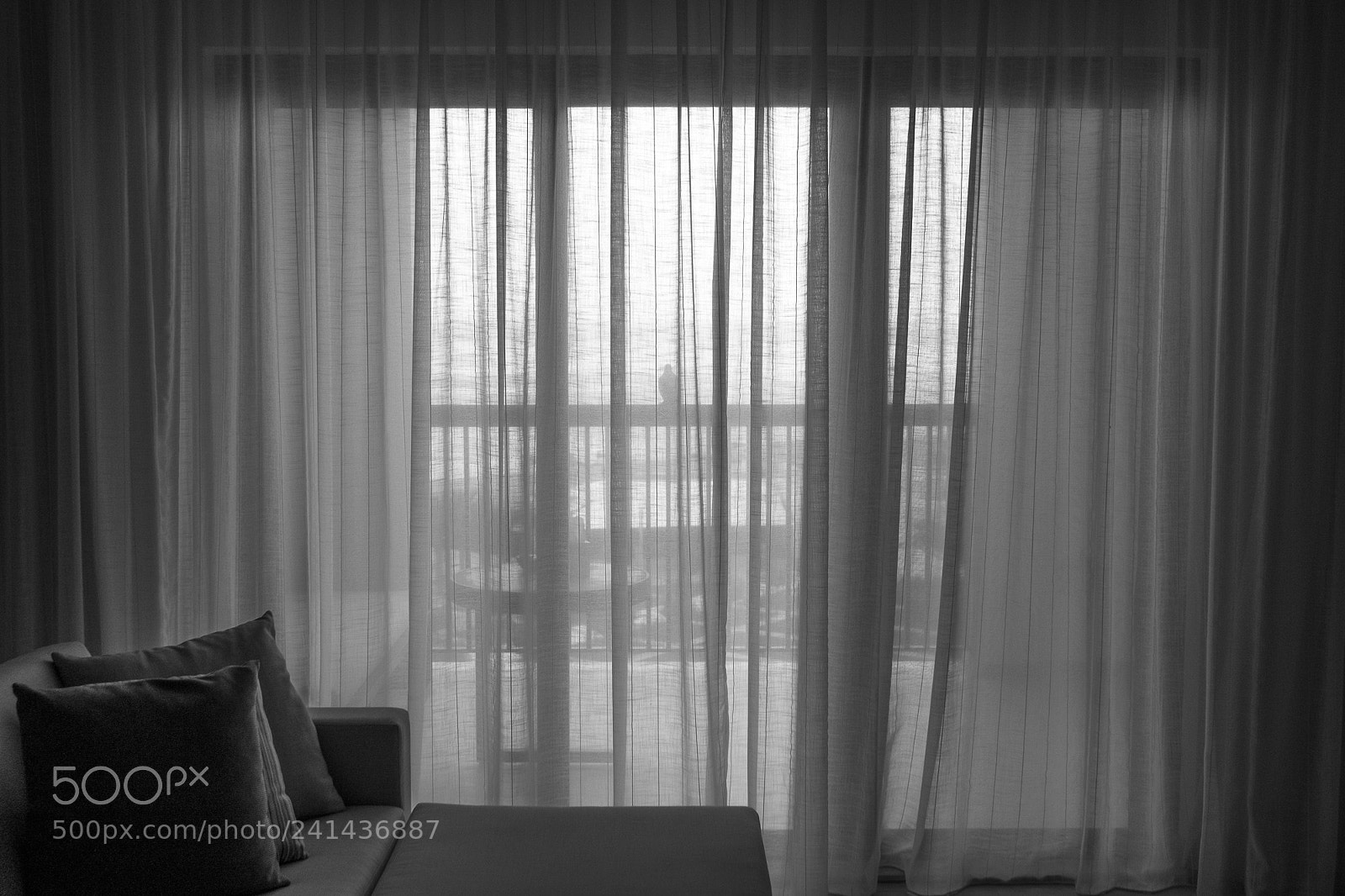 Fujifilm X-T10 sample photo. Dove at the balcony photography