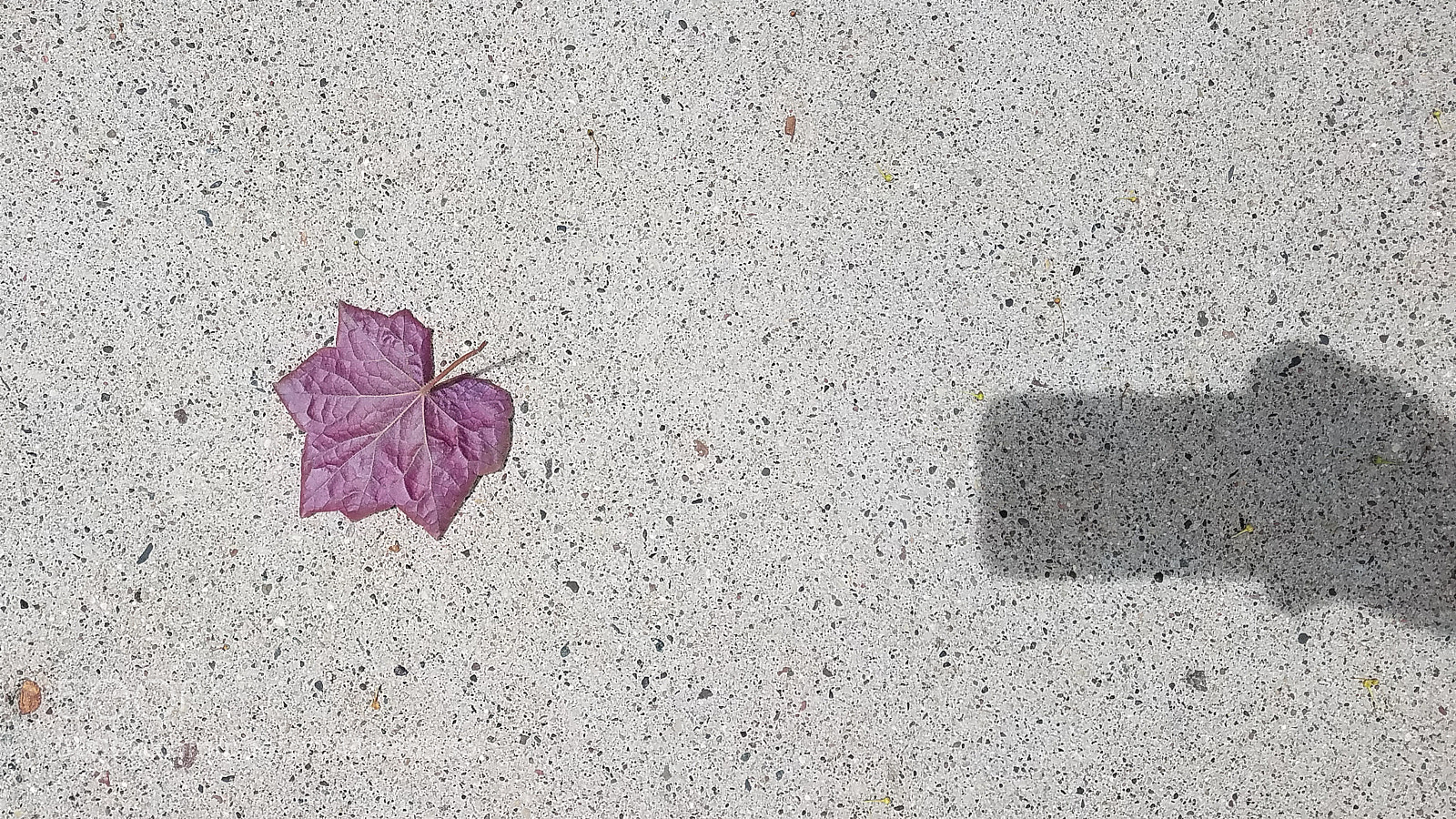 Samsung Galaxy S7 sample photo. 20170623_134506.jpg photography