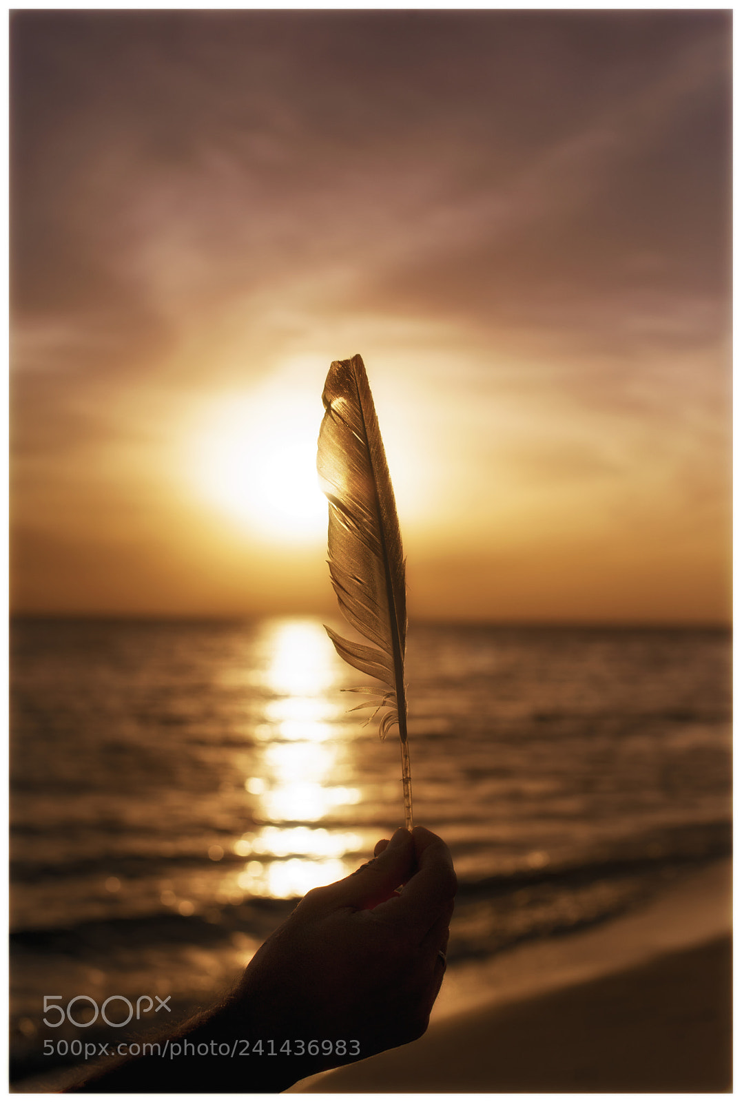 Nikon D810 sample photo. M ｉｎｉｍａｌ photography