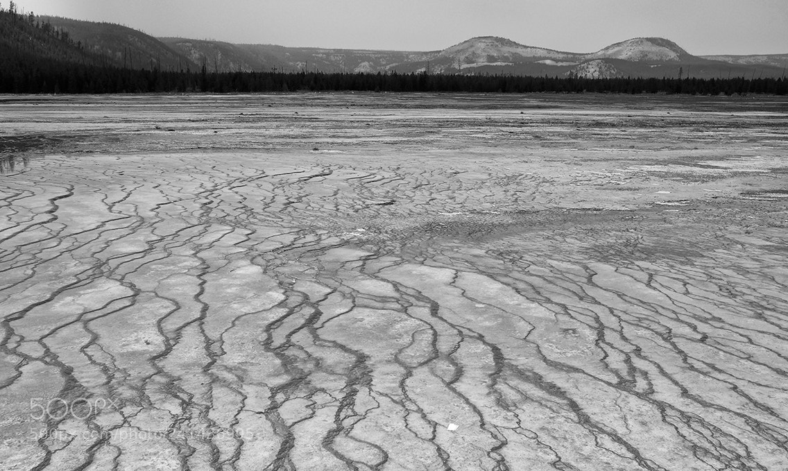 Fujifilm X-Pro2 sample photo. Dune texture photography