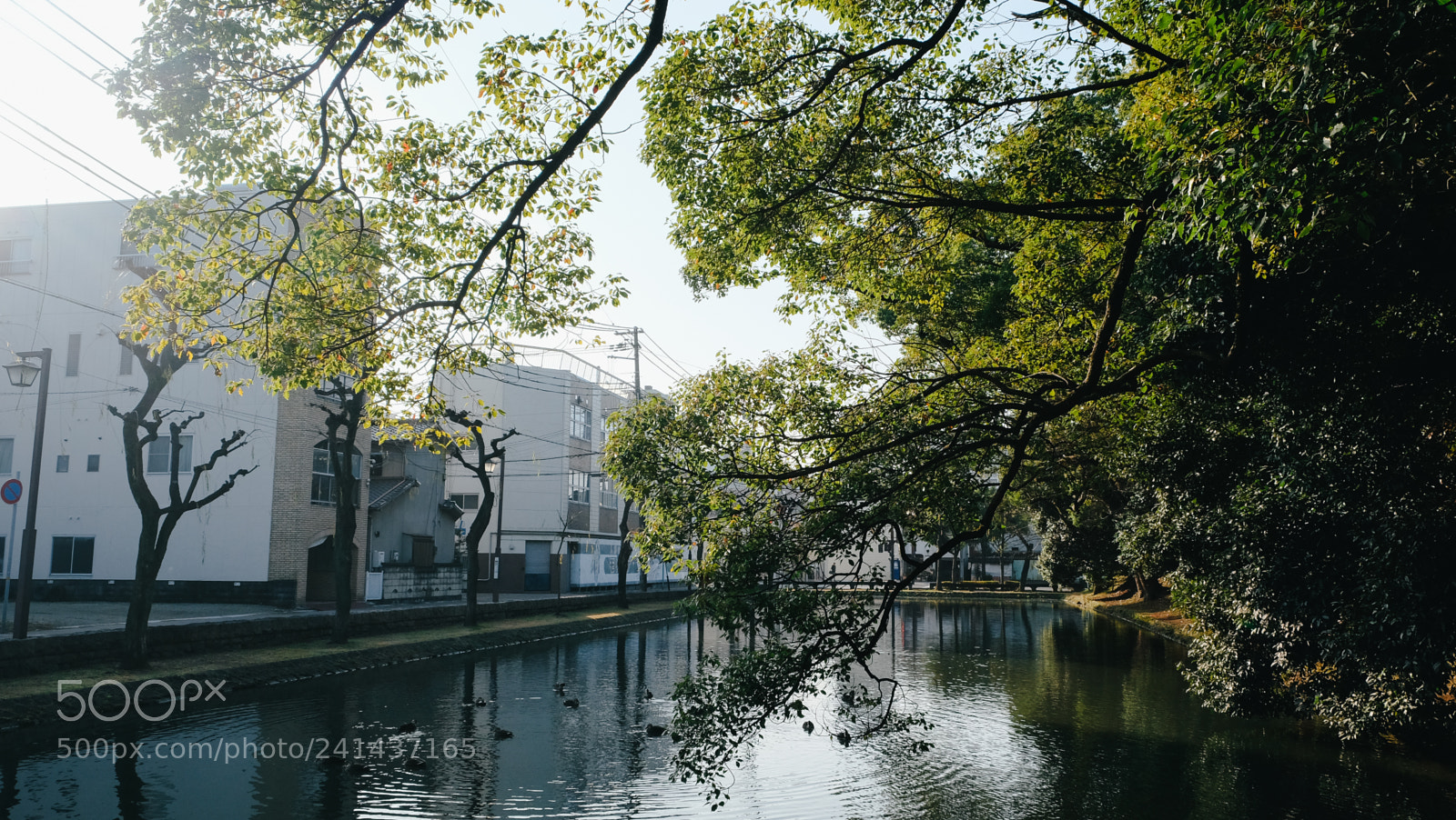 Fujifilm X-T10 sample photo. Dscf photography