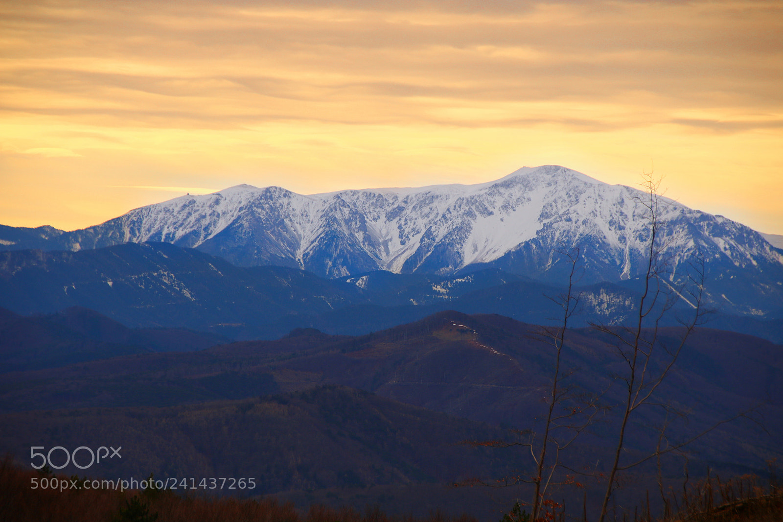 Canon EOS 750D (EOS Rebel T6i / EOS Kiss X8i) sample photo. Schneearmer winter photography