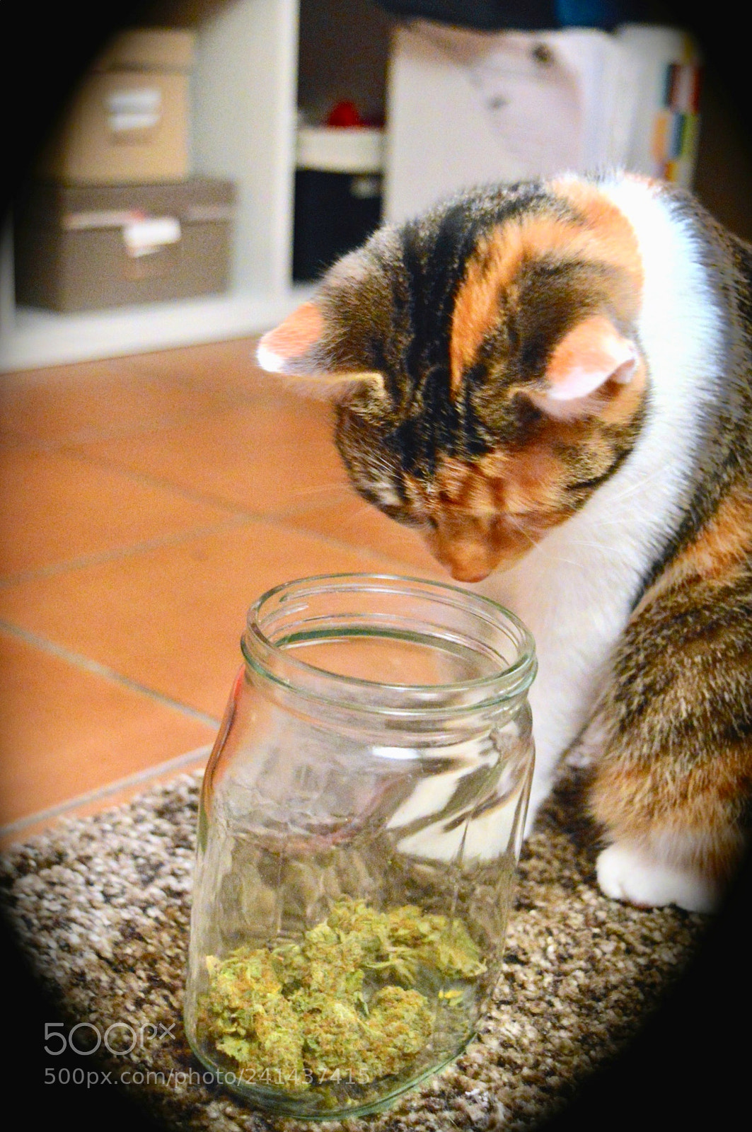 Nikon D3200 sample photo. Untitled photography