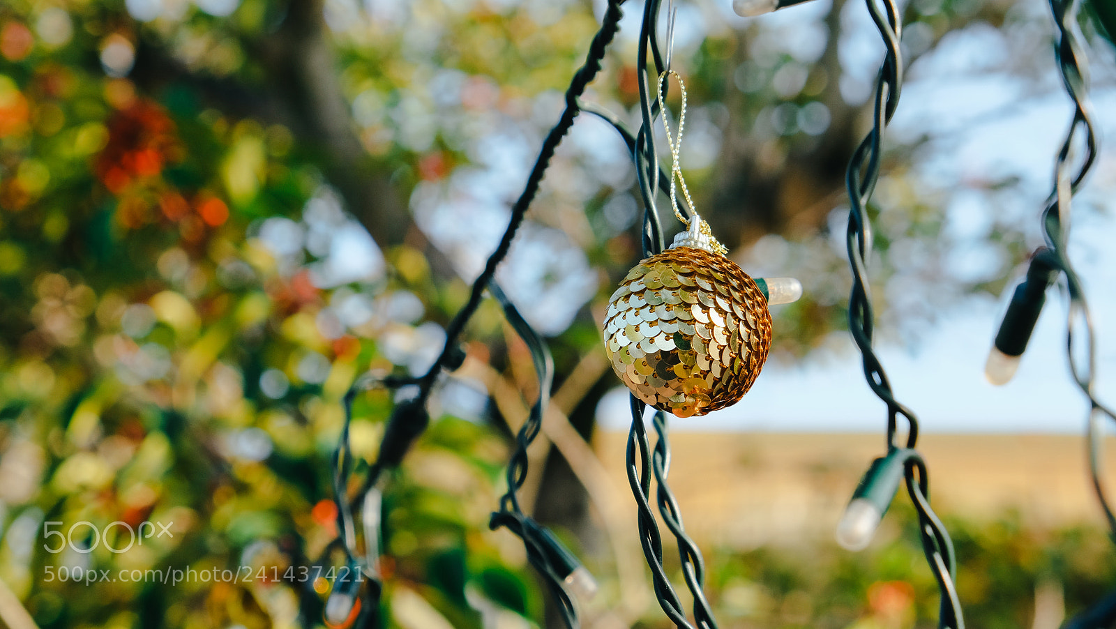 Fujifilm X-T10 sample photo. Dscf photography