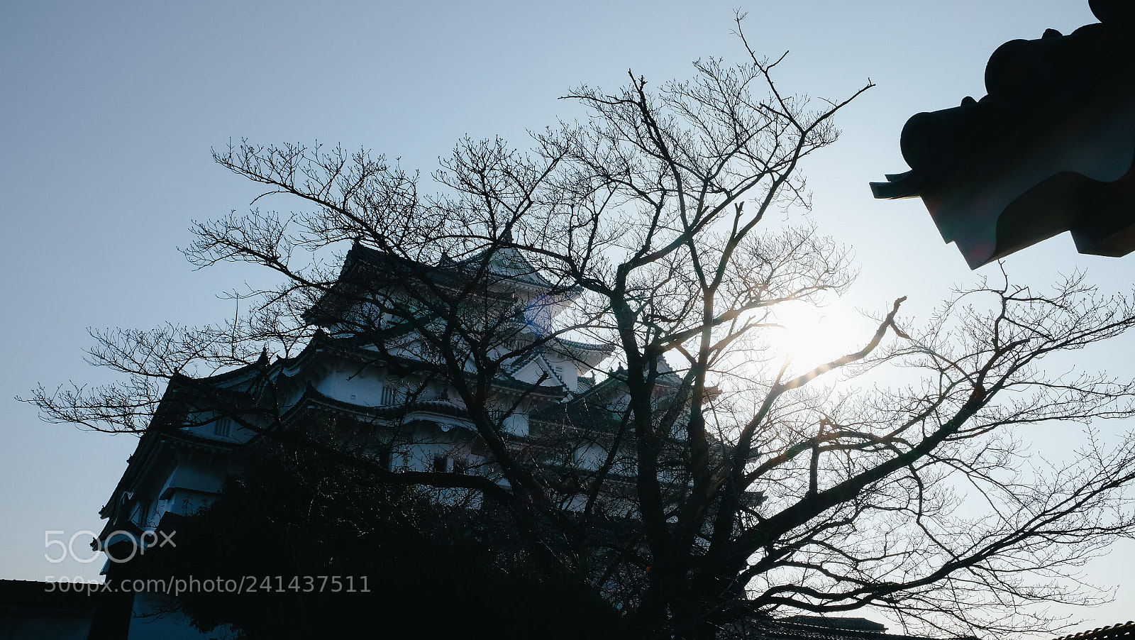 Fujifilm X-T10 sample photo. Dscf photography