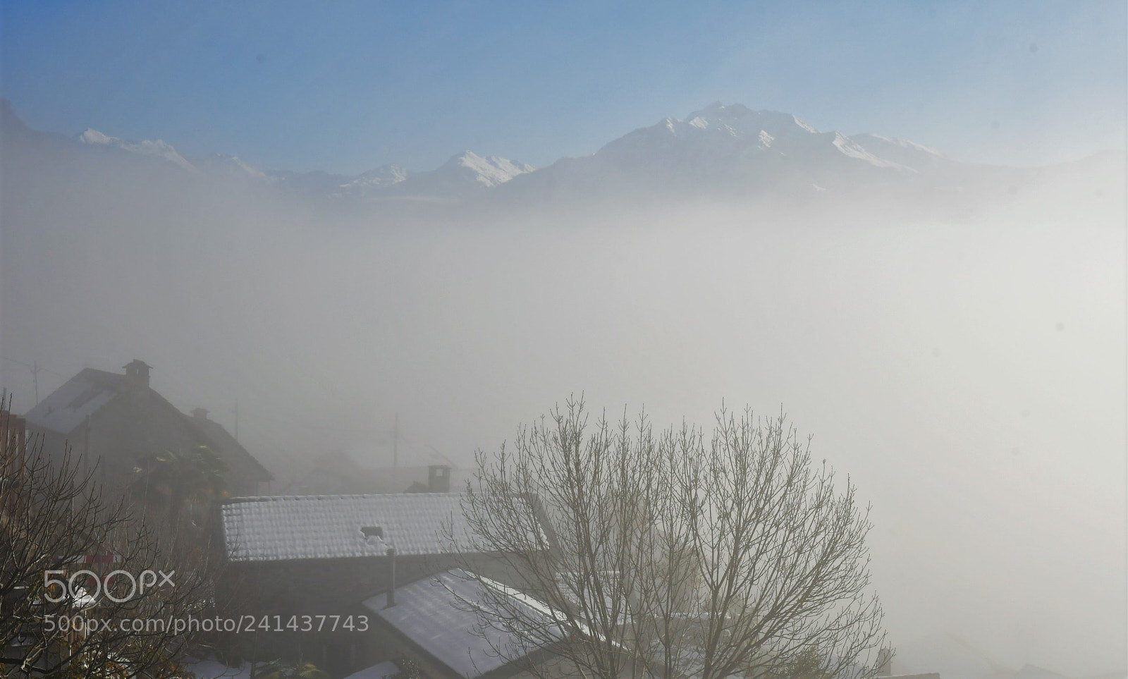 Nikon D500 sample photo. Brume matinale photography