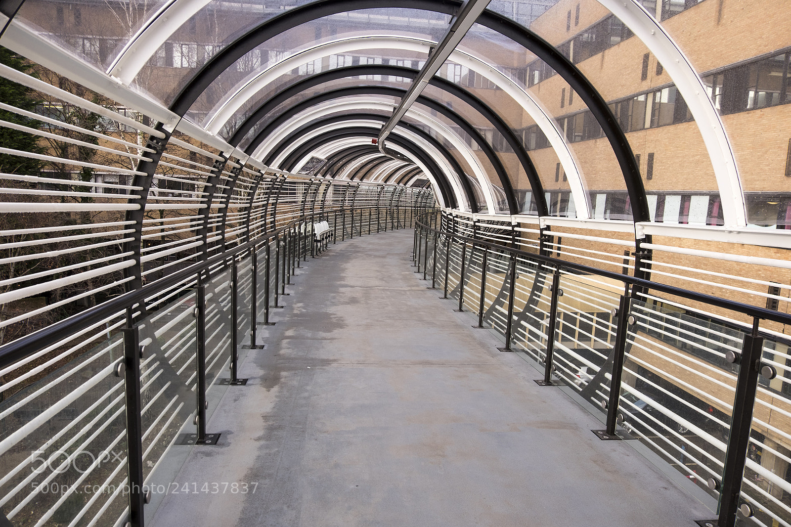 Fujifilm X-T1 sample photo. The illusion of speed... photography