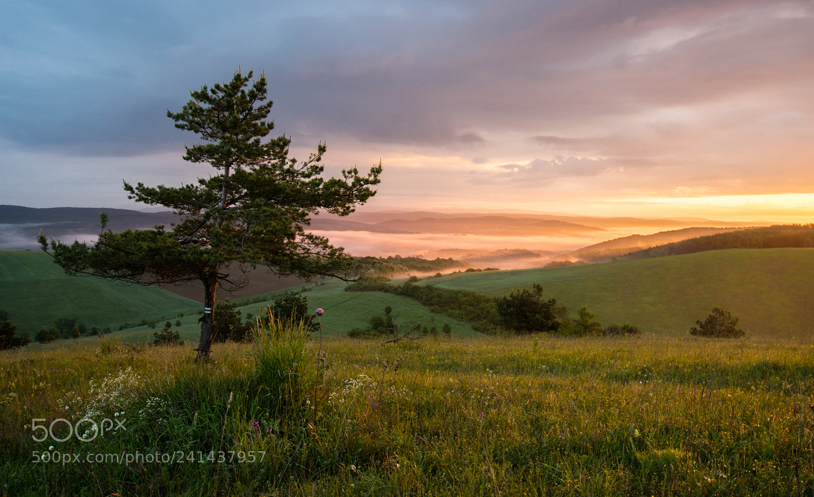 Pentax K-3 sample photo. Varboskeresztjosvavolgy photography