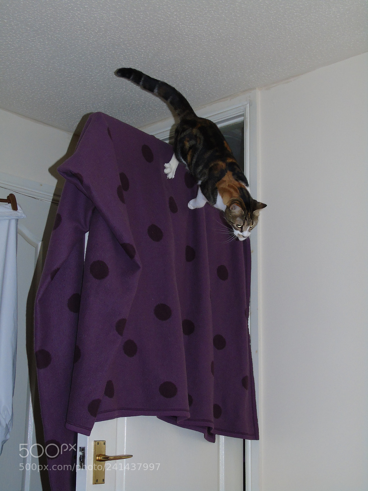 Sony Cyber-shot DSC-H400 sample photo. River's daredevil leap in photography