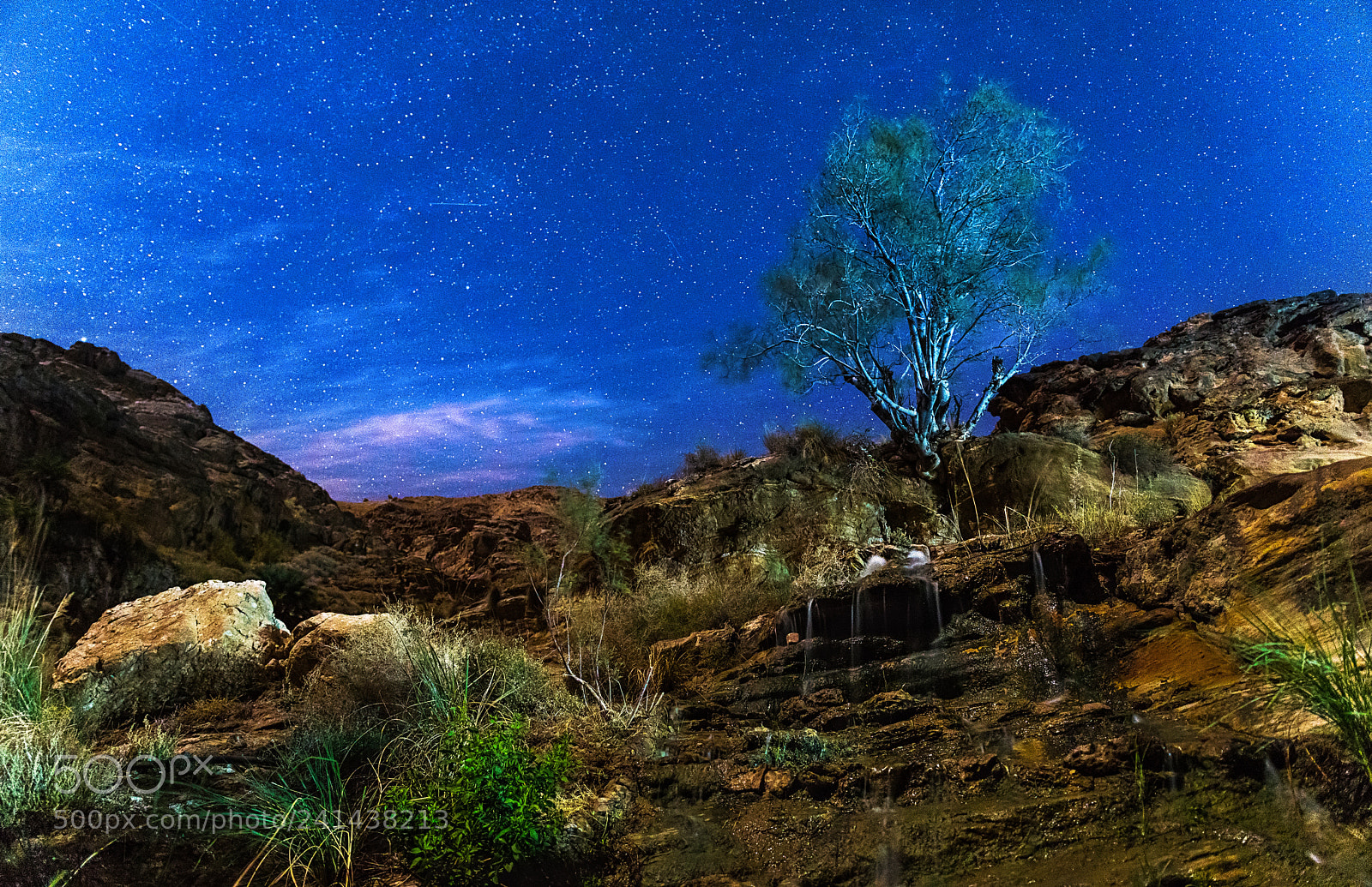Sony ILCA-77M2 sample photo. Startree photography