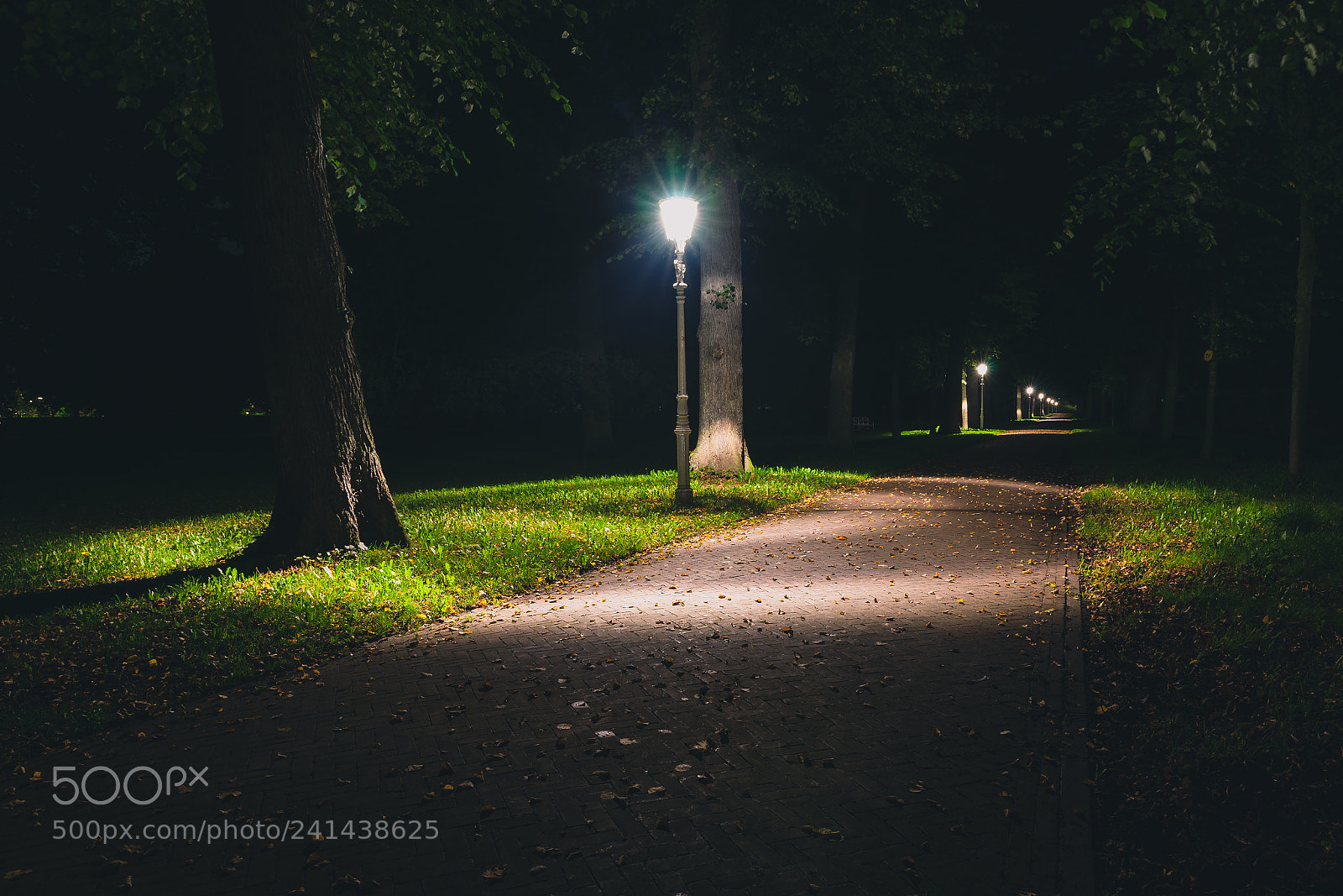 Sony Alpha DSLR-A900 sample photo. Night view of a photography