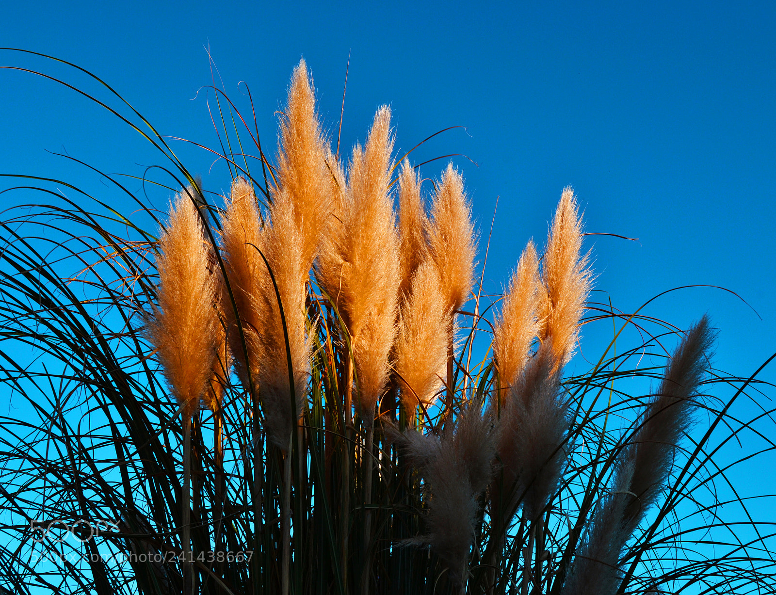 Nikon D3100 sample photo. Sol y sombra photography