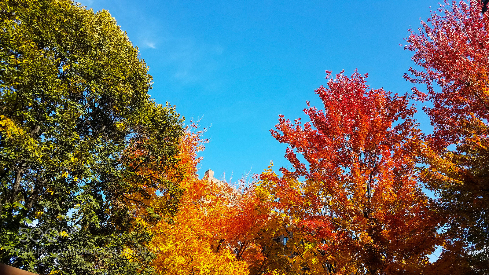 Samsung Galaxy S7 sample photo. 20171020_134438.jpg photography