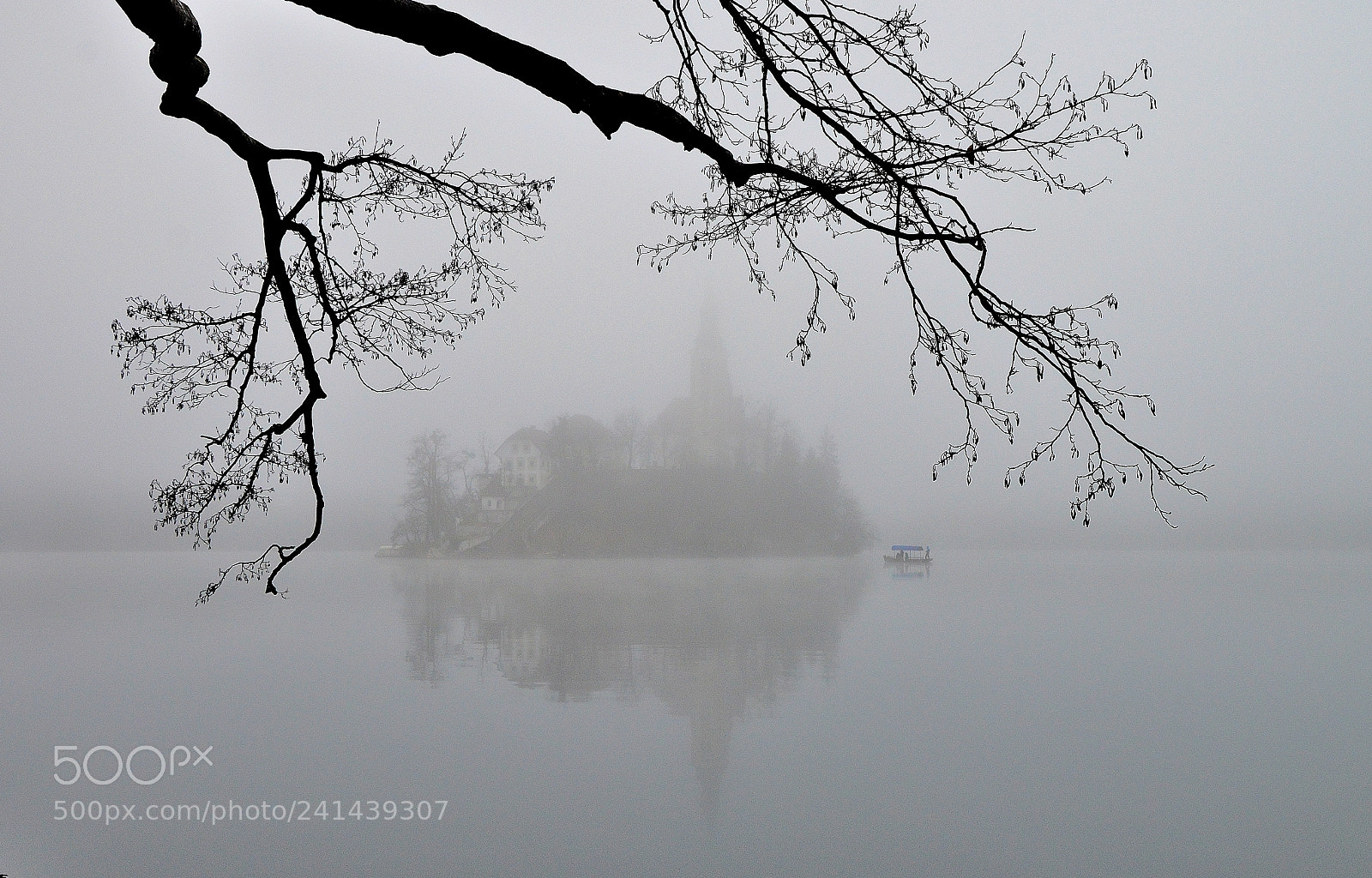 Nikon D3200 sample photo. Immersa nella nebbia photography