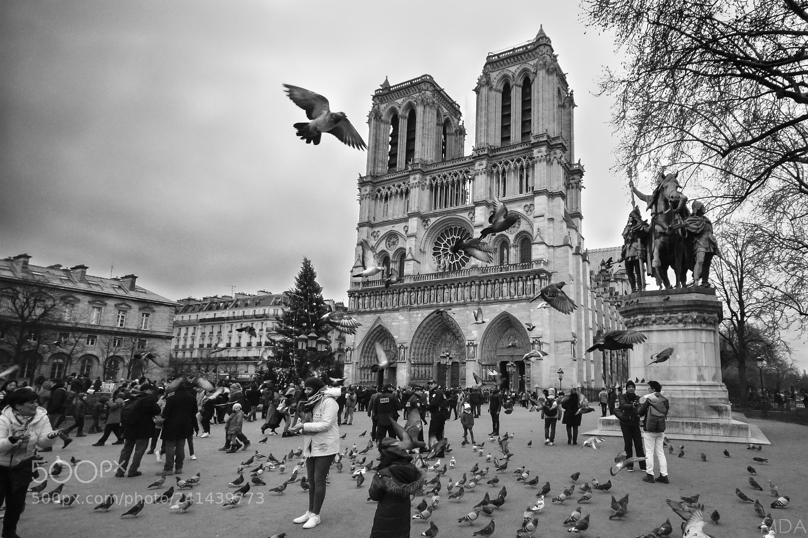 Nikon D3100 sample photo. Notredame01 photography