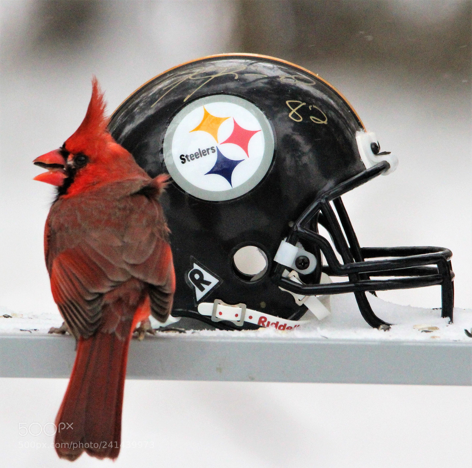 Canon EOS 1200D (EOS Rebel T5 / EOS Kiss X70 / EOS Hi) sample photo. Like super bowl xliii photography