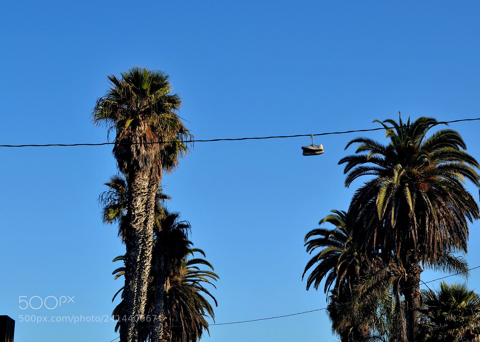 Nikon D3100 + Nikon AF-S DX Nikkor 35mm F1.8G sample photo. Can i have my photography
