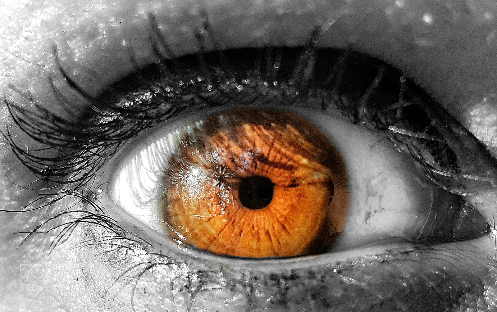 Samsung Galaxy Note5 sample photo. Untitled photography
