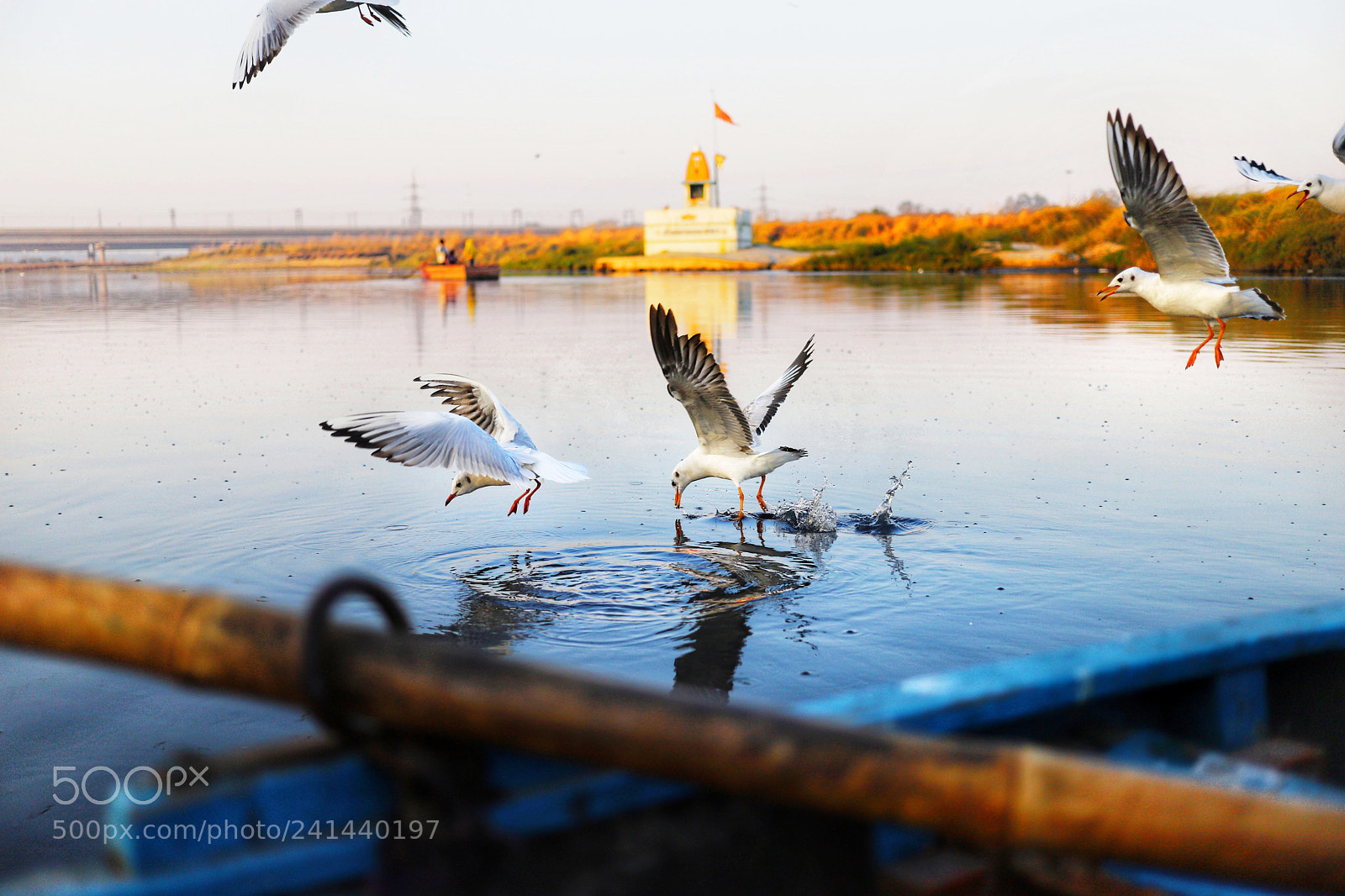 Canon EOS 6D Mark II sample photo. Untitled photography