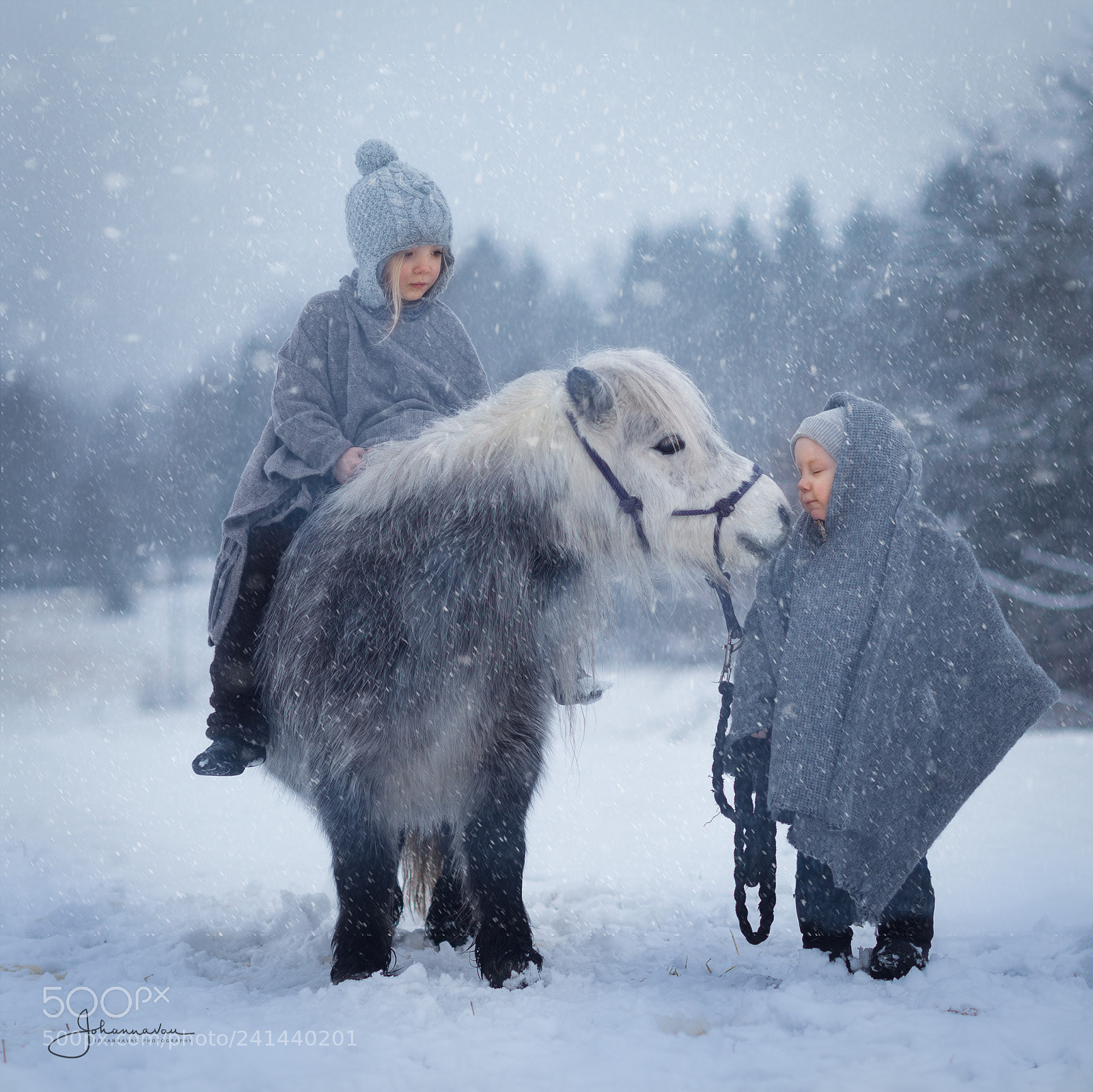 Nikon D4S sample photo. Winter in finland photography