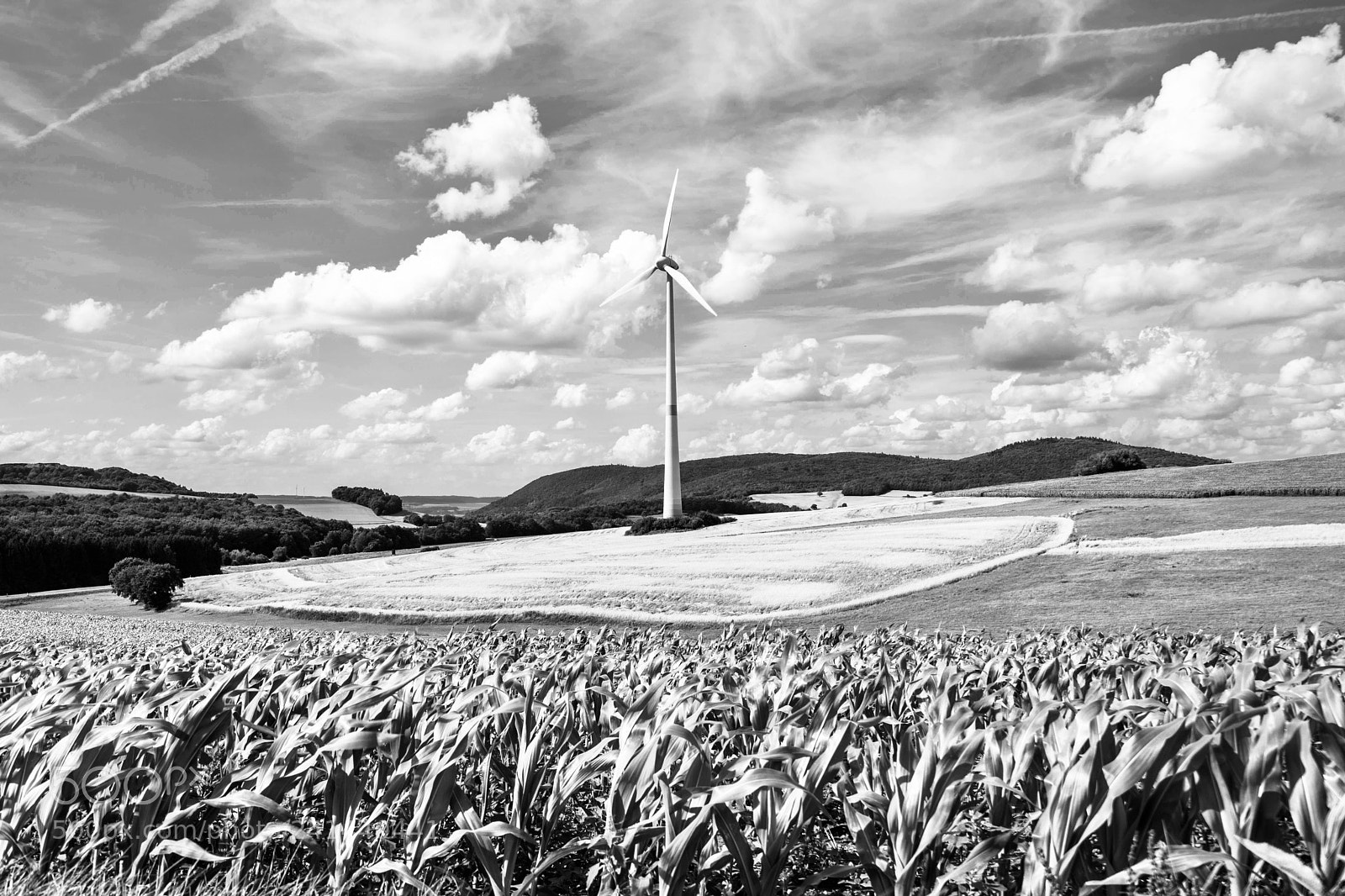 Sony a7 II sample photo. Wind power photography
