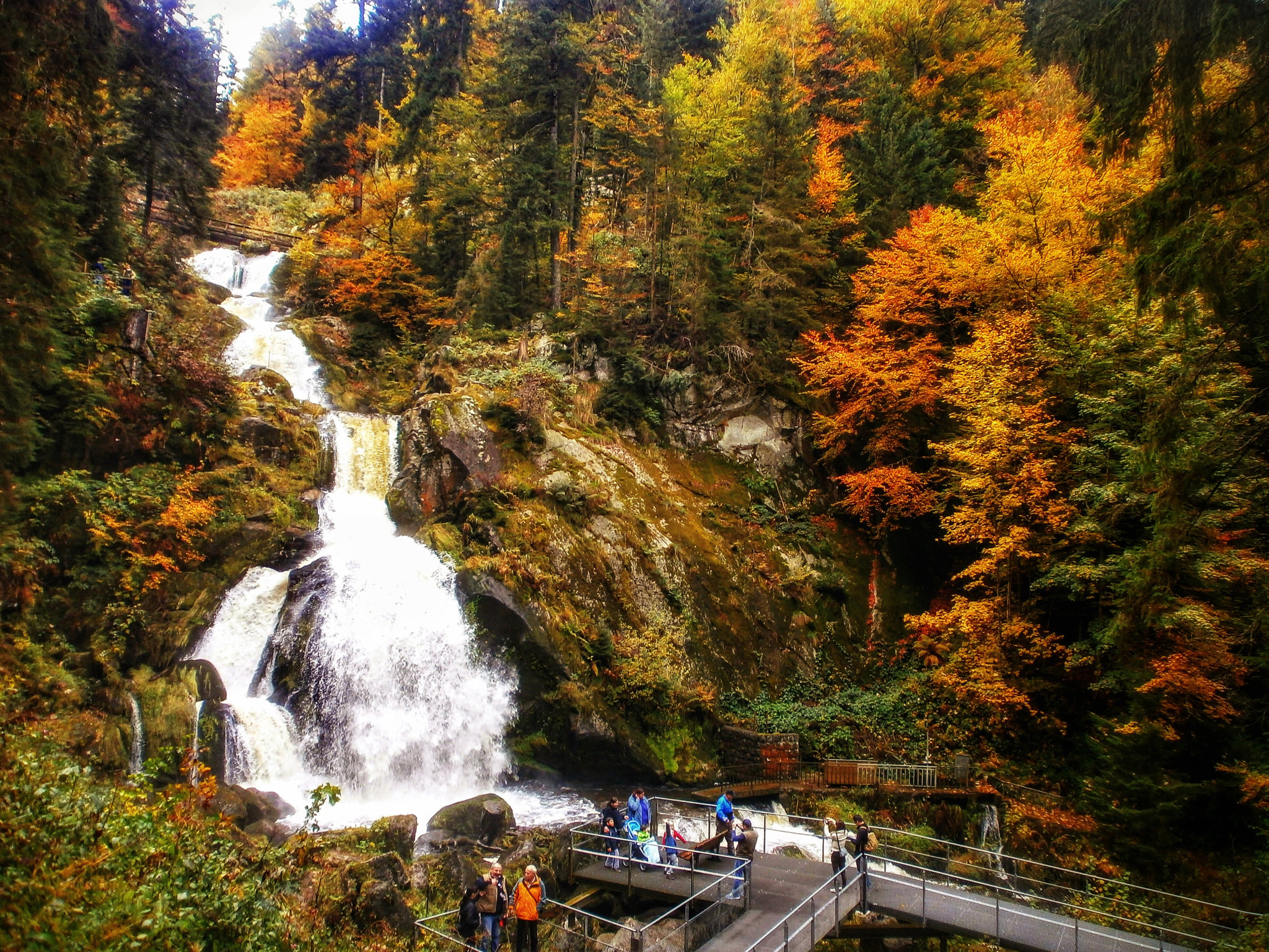 Olympus VG110,D700 sample photo. Triberg waterfall in autumn photography