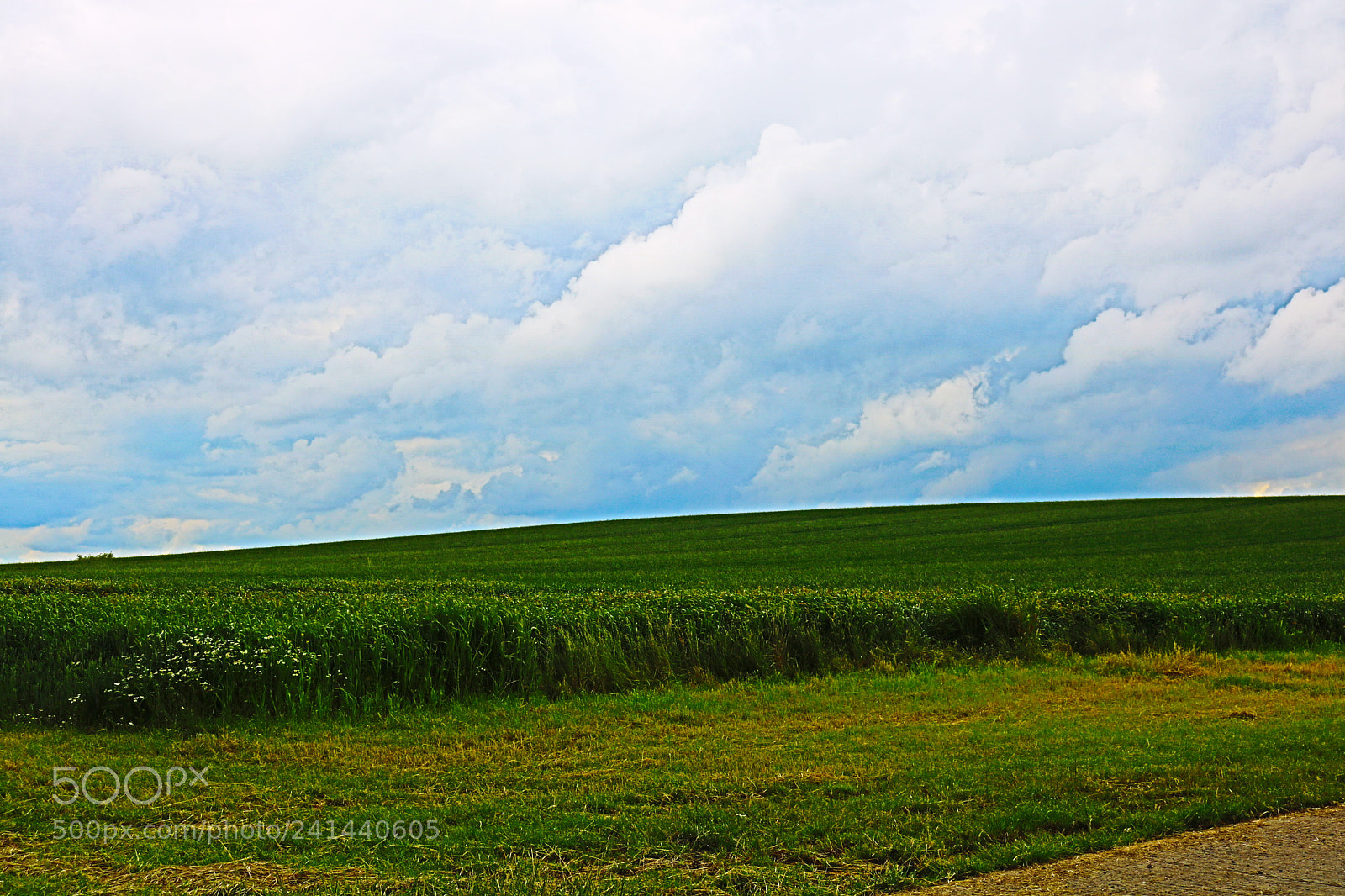 Canon EOS 750D (EOS Rebel T6i / EOS Kiss X8i) sample photo. Landslide photography