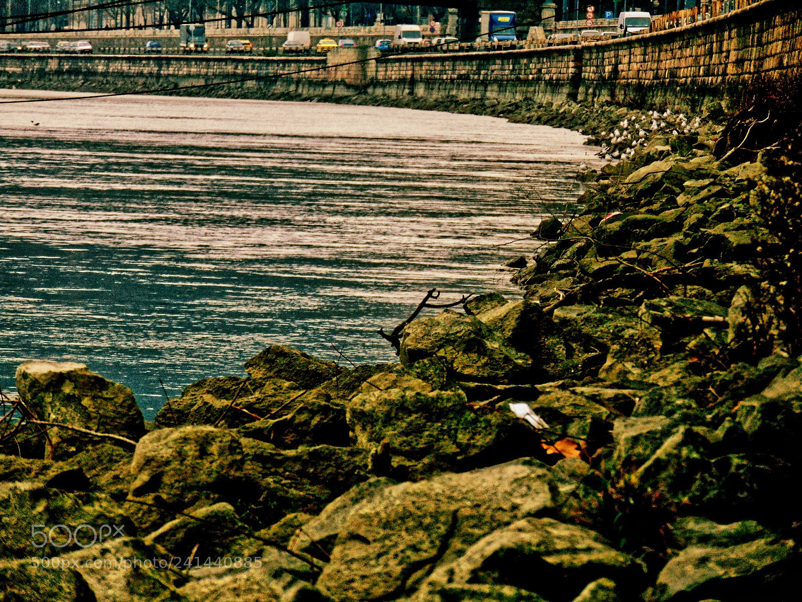 Sony Cyber-shot DSC-H300 sample photo. Queen of rivers photography