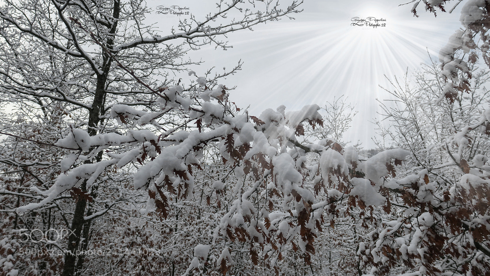 Canon PowerShot G3 X sample photo. Umbria photography