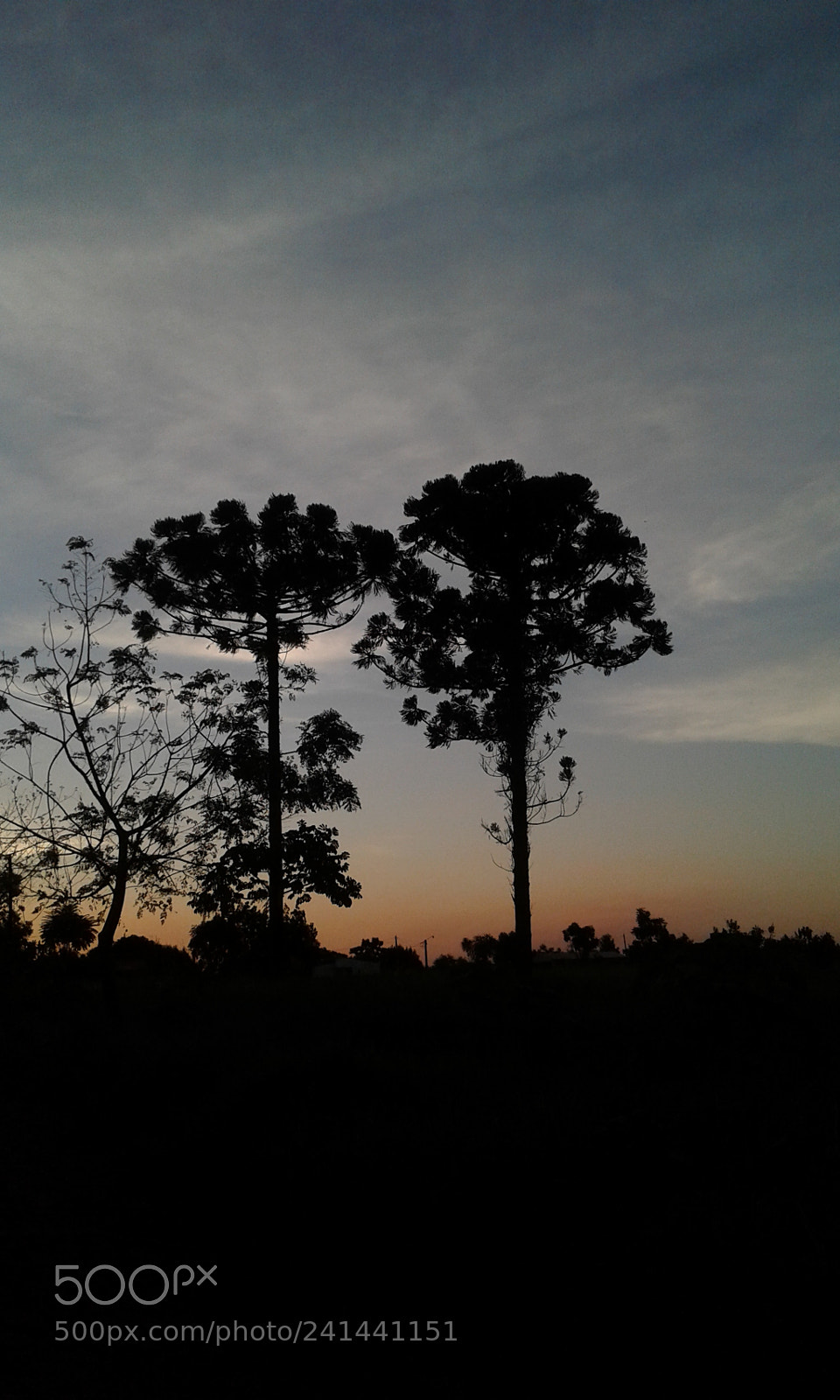 Samsung Galaxy J1 Ace sample photo. Atardecer photography