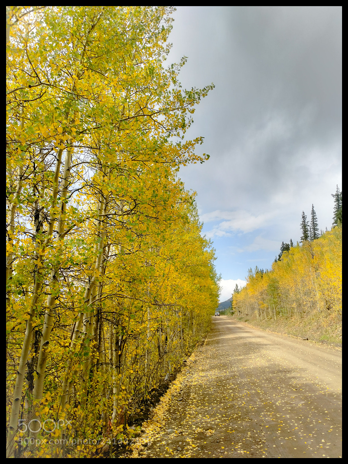 Motorola XT1650 sample photo. Rocky mtn photography