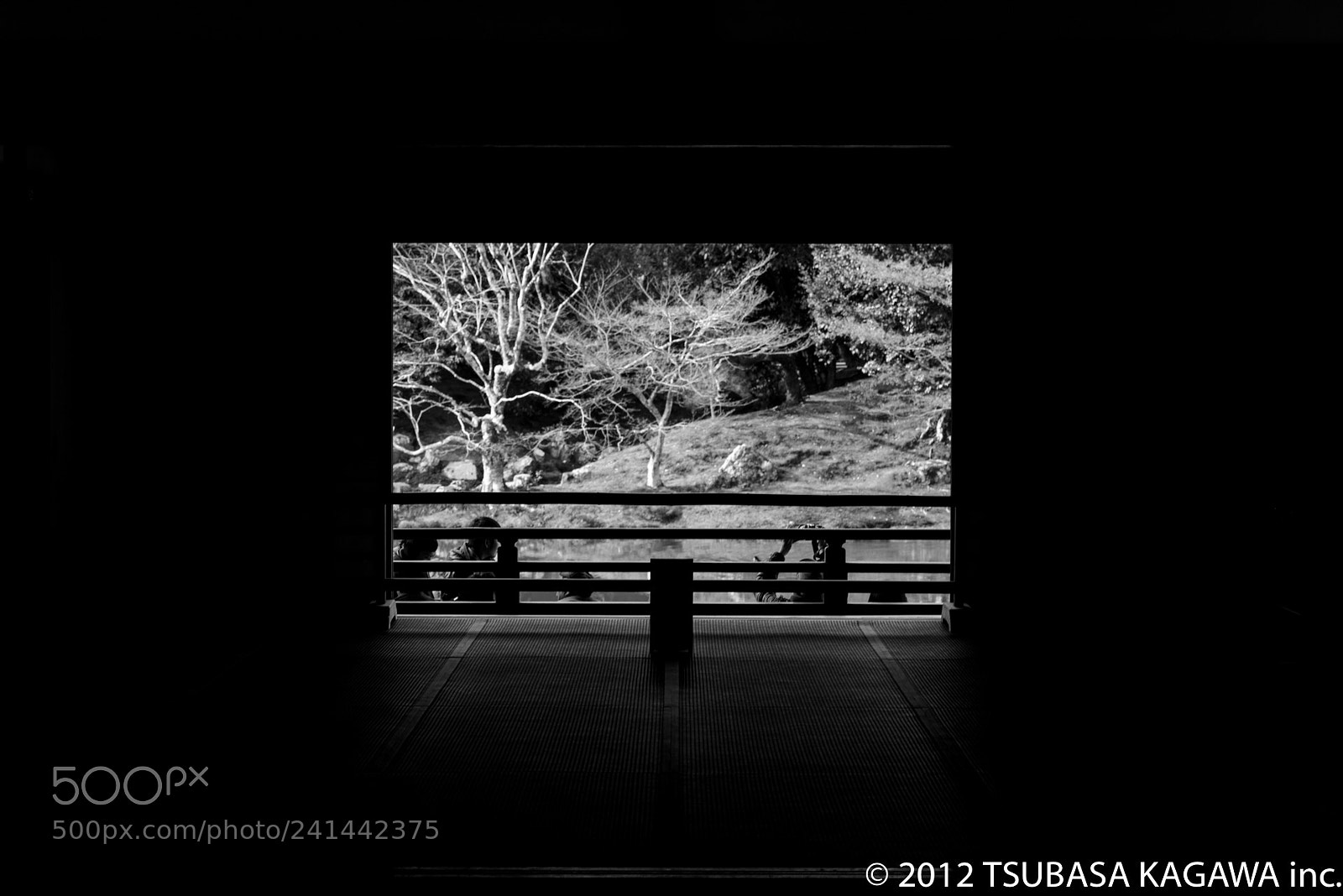 Nikon D810 sample photo. Untitled photography