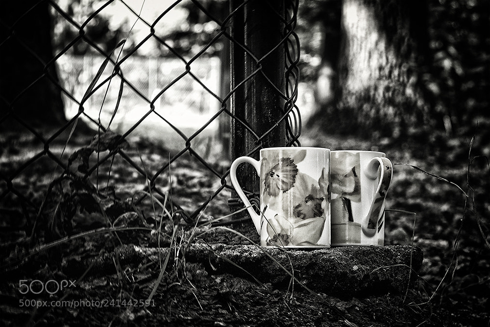 Pentax K-5 II sample photo. Zaungäste photography