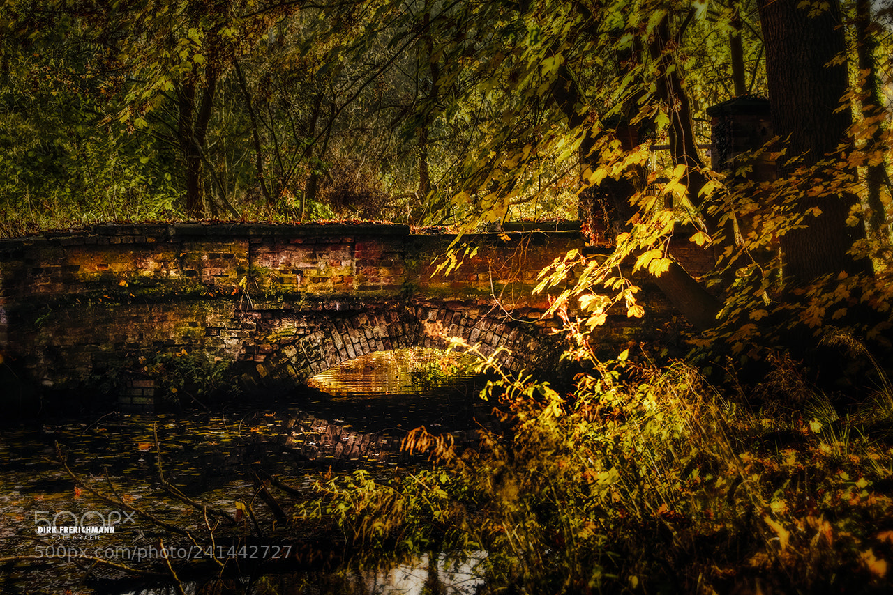 Nikon D810 sample photo. Old bridge photography